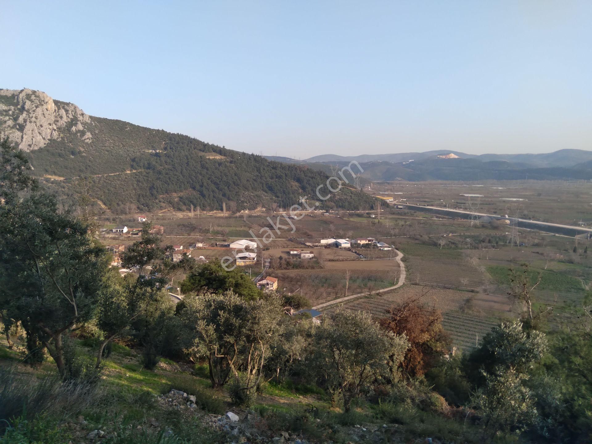 Nilvest'ten Kestel Narlıdere'de Çok Güzel Manzaralı Hobi Bahçesi - Görsel 12