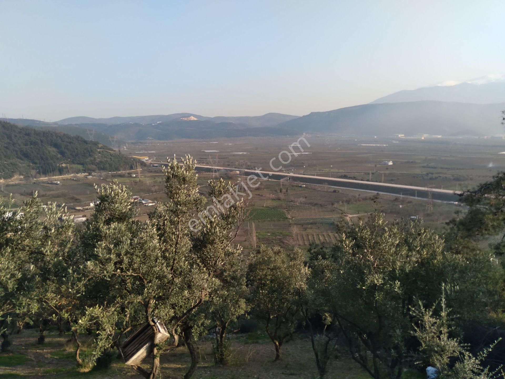 Nilvest'ten Kestel Narlıdere'de Çok Güzel Manzaralı Hobi Bahçesi - Görsel 13