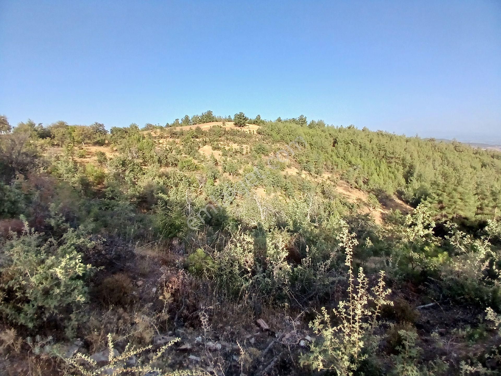 Satılık Arsa - Görsel 2