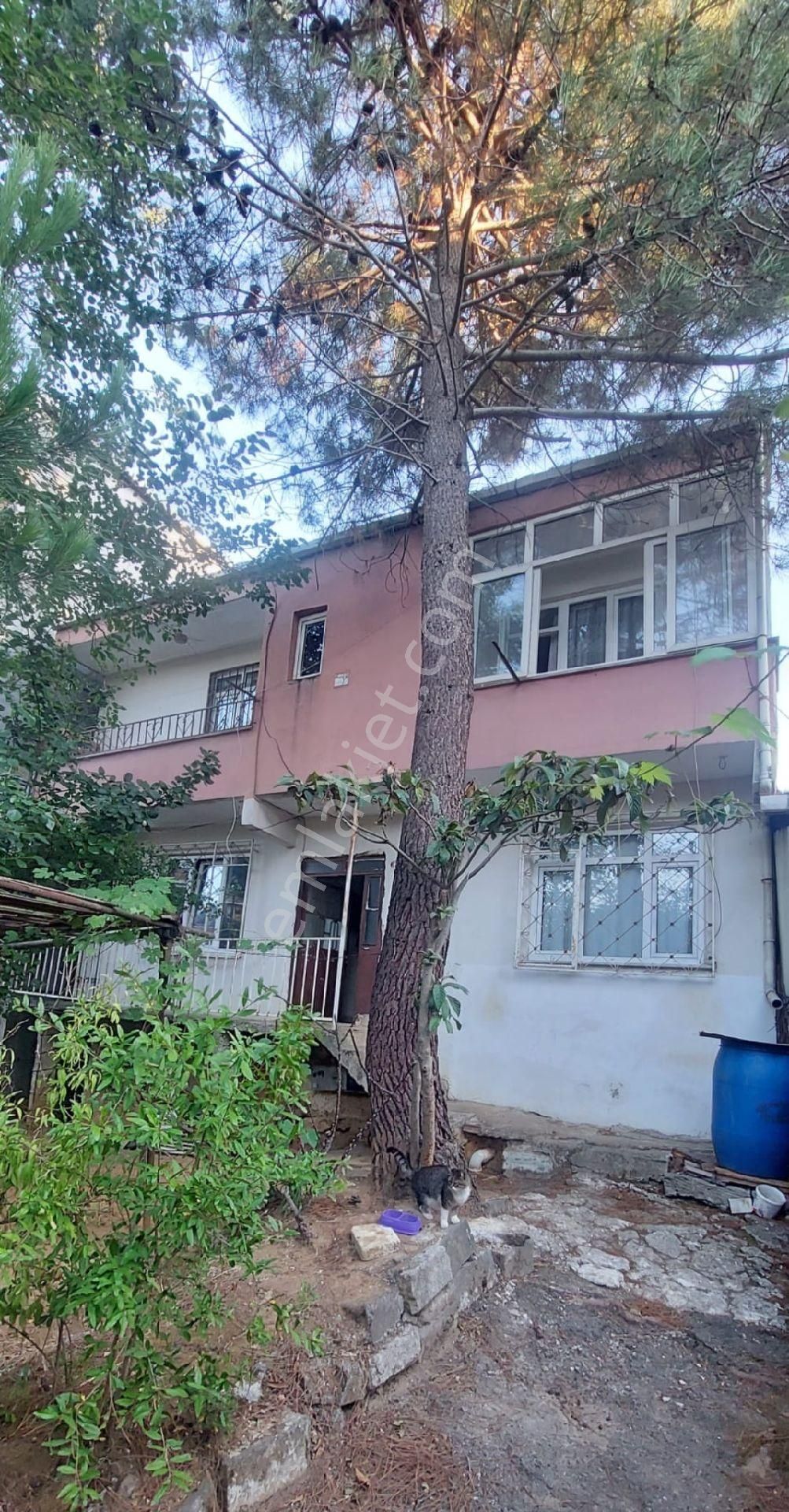 Realty İstanbul Gayrimenkul Emlaktan Satılık Daire