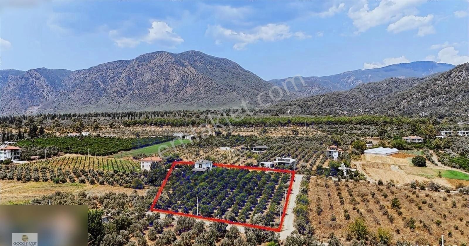 Muğla Köyceğiz Yangı Mahallesinde 6.500 M² Bahçe Ve Müstakil Ev
