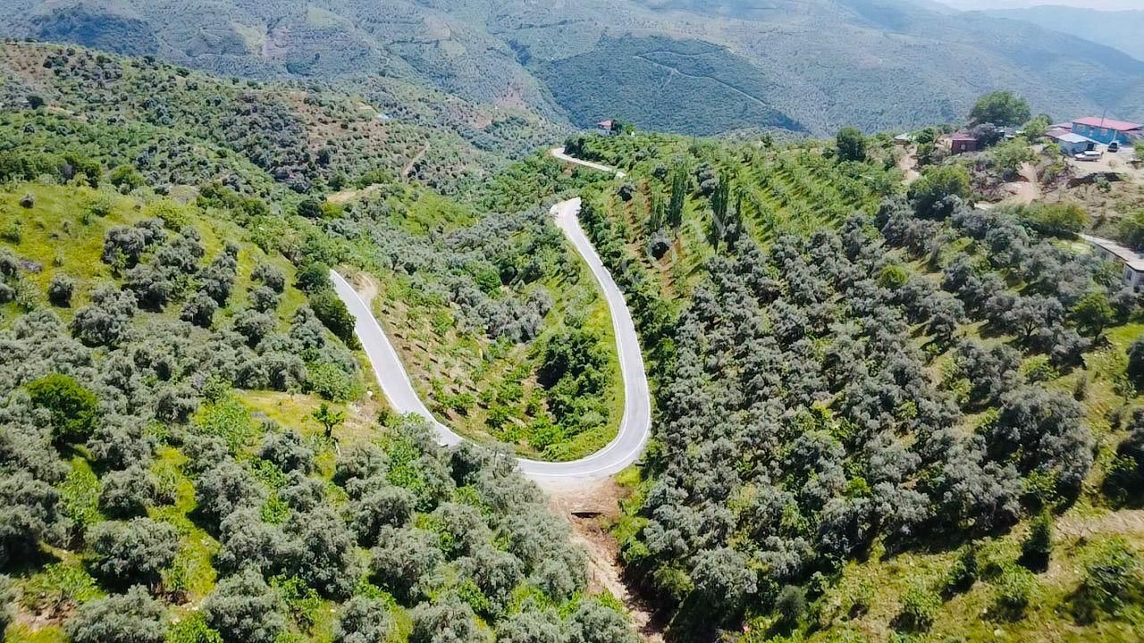 Tire'nin En Büyük İncir Ve Zeytin Bahçesi Satılık'tır - Görsel 12