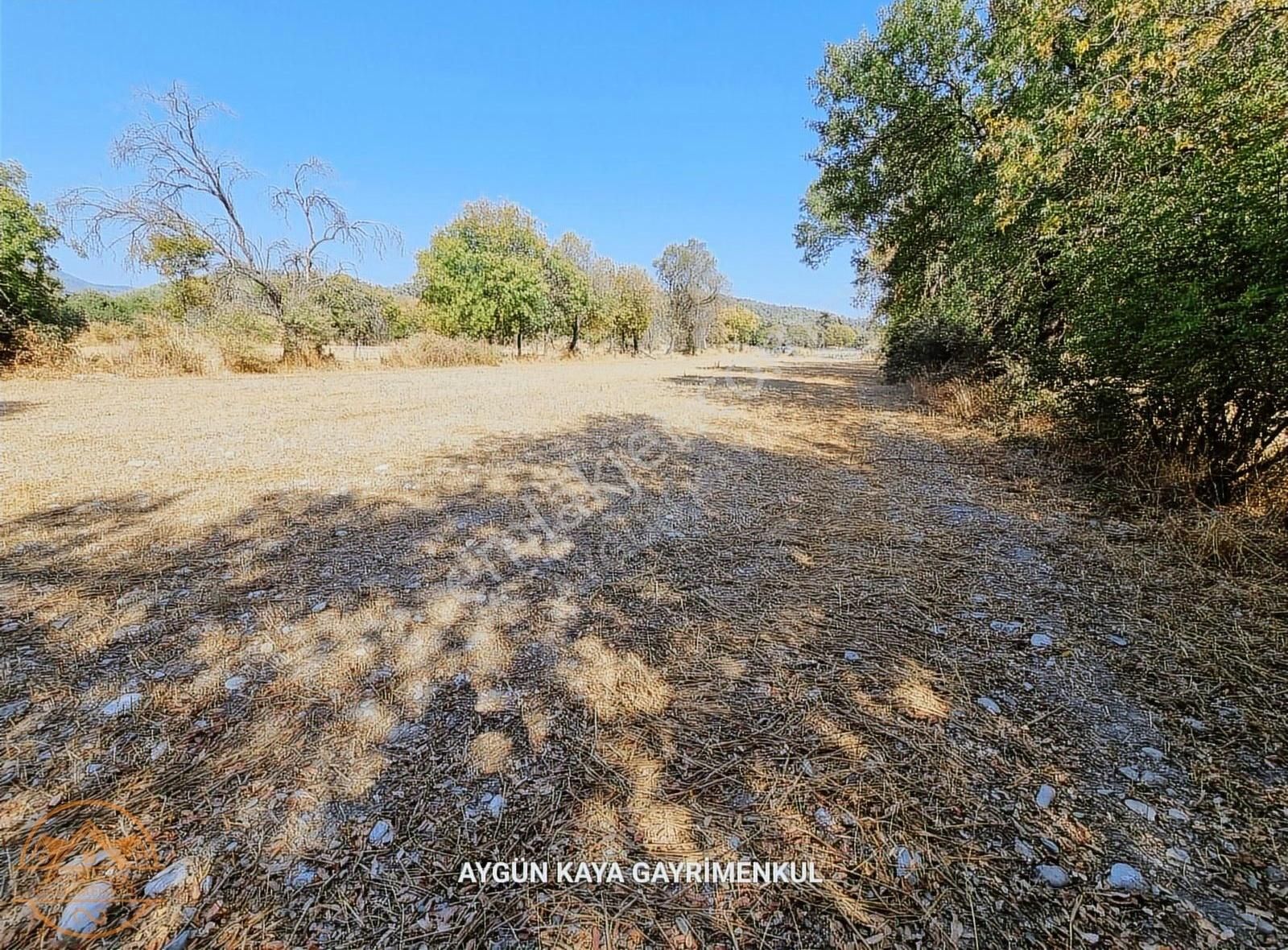 Ula Karabörtlen Mahallesin'de Satılık 2.335 M2 Yola Sıfır Tarla