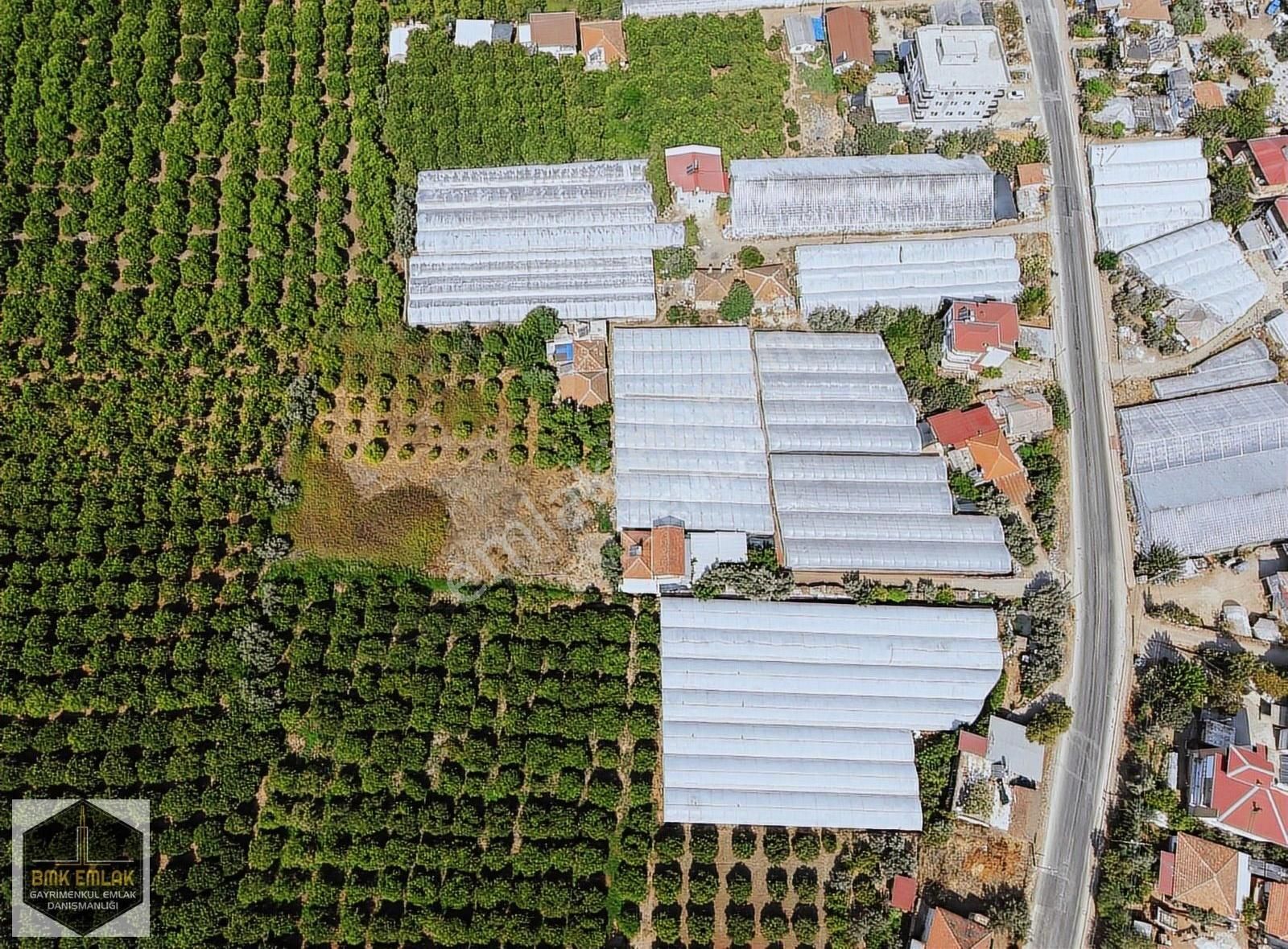 Bmk'dan Antalya Kumluca Kasapçayırında Harika Konumda Tarla - Görsel 22