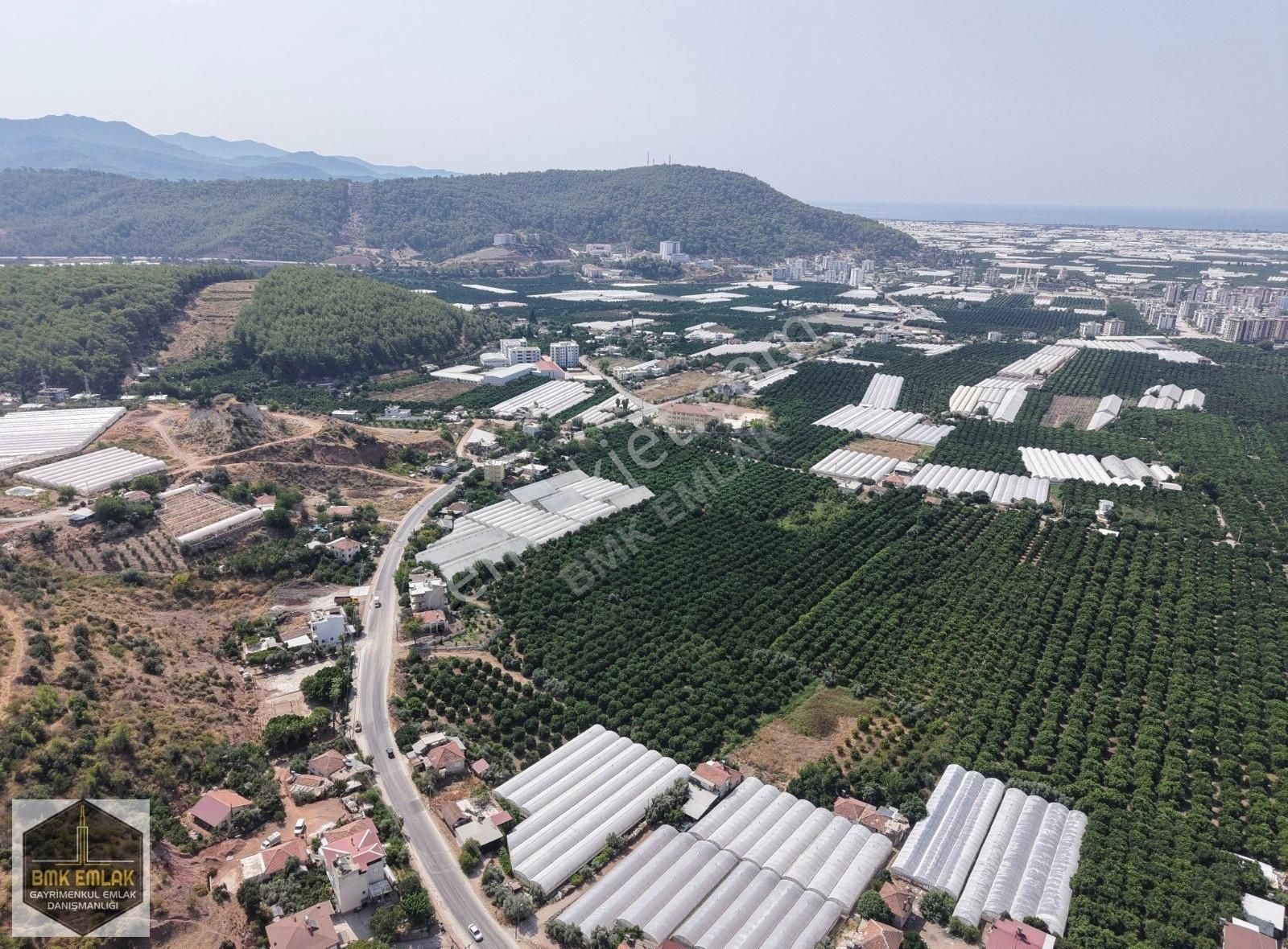 Bmk'dan Antalya Kumluca Kasapçayırında Harika Konumda Tarla - Görsel 14