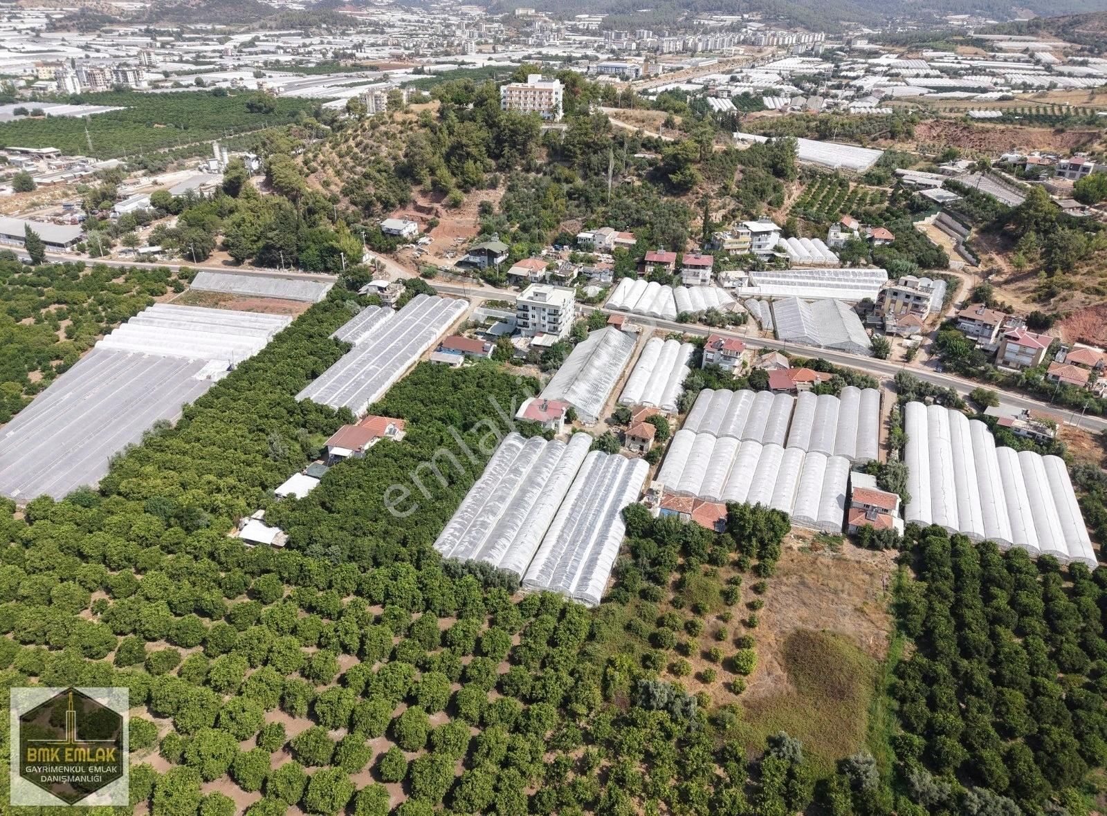 Bmk'dan Antalya Kumluca Kasapçayırında Harika Konumda Tarla - Görsel 19