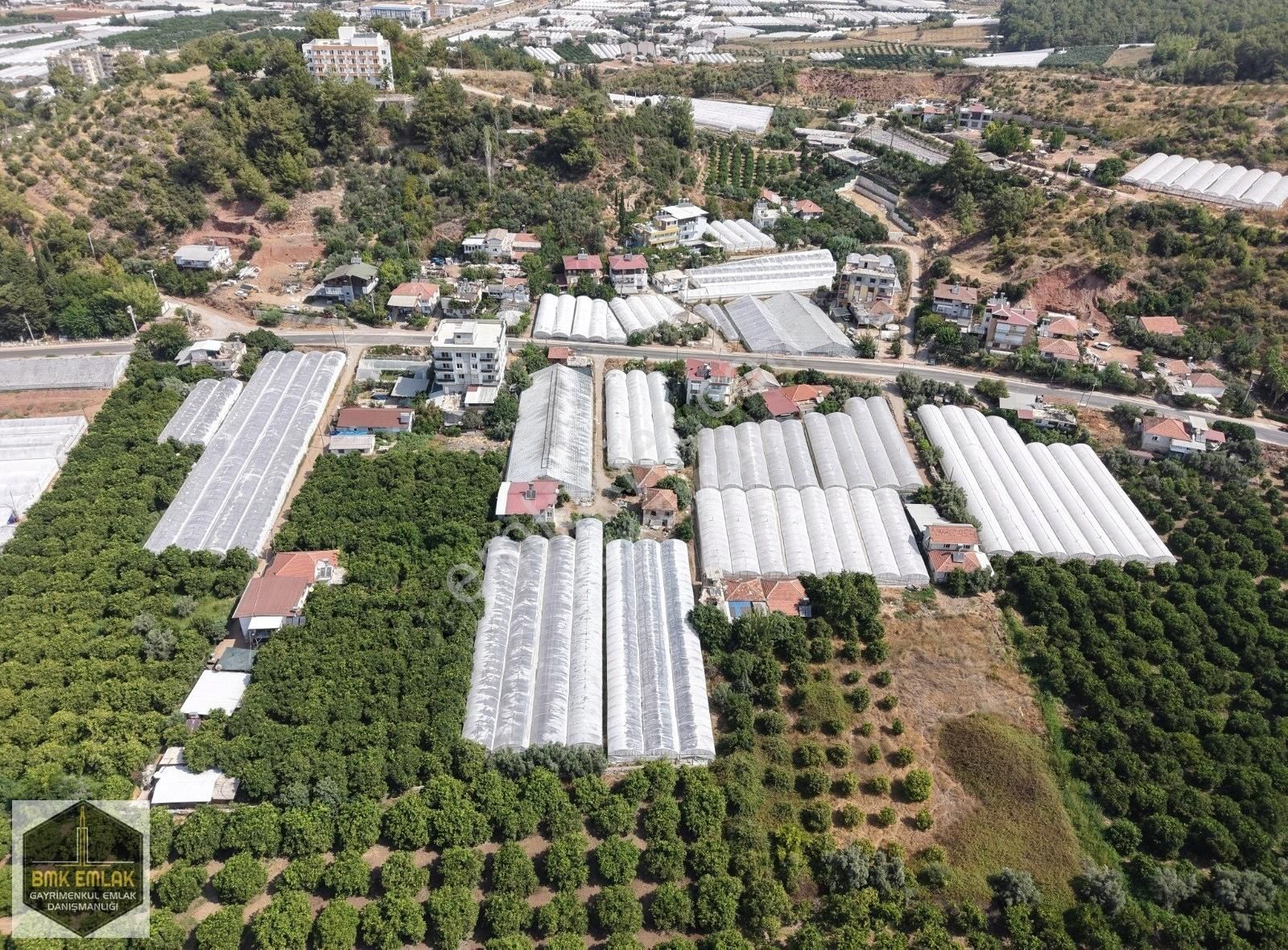 Bmk'dan Antalya Kumluca Kasapçayırında Harika Konumda Tarla - Görsel 13