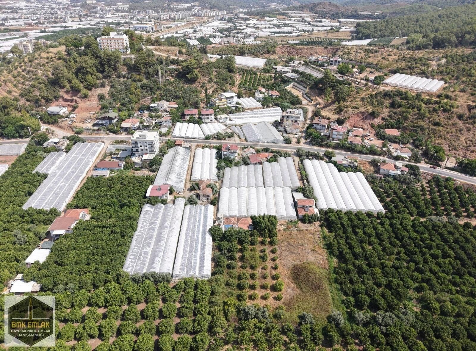 Bmk'dan Antalya Kumluca Kasapçayırında Harika Konumda Tarla - Görsel 21