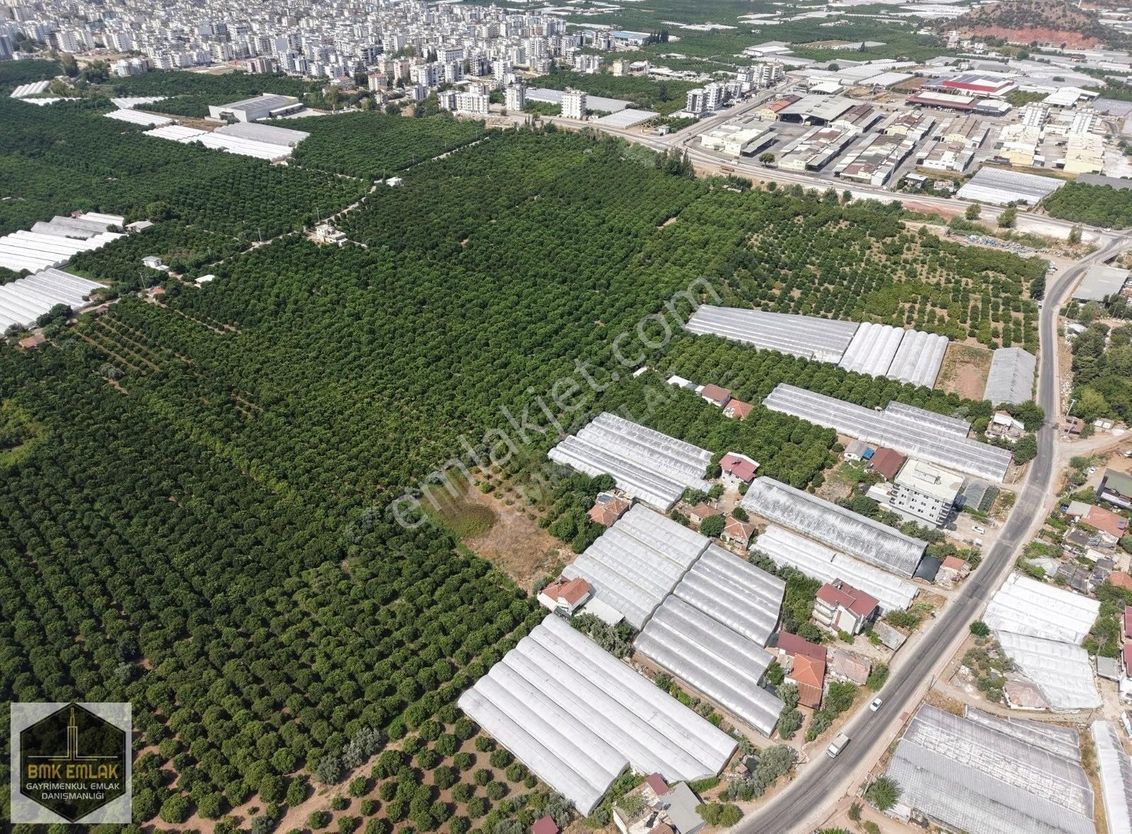 Bmk'dan Antalya Kumluca Kasapçayırında Harika Konumda Tarla - Görsel 4