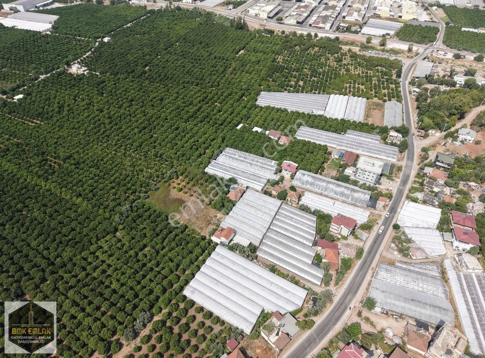 Bmk'dan Antalya Kumluca Kasapçayırında Harika Konumda Tarla - Görsel 35