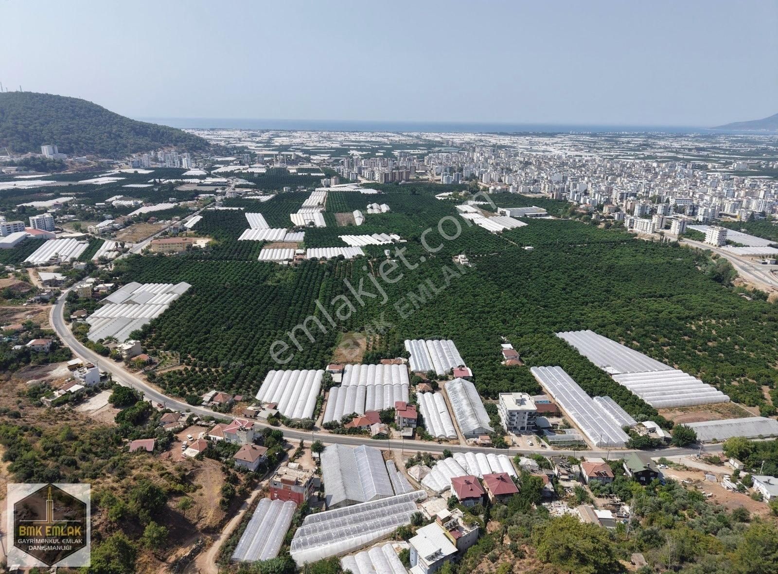 Bmk'dan Antalya Kumluca Kasapçayırında Harika Konumda Tarla - Görsel 15