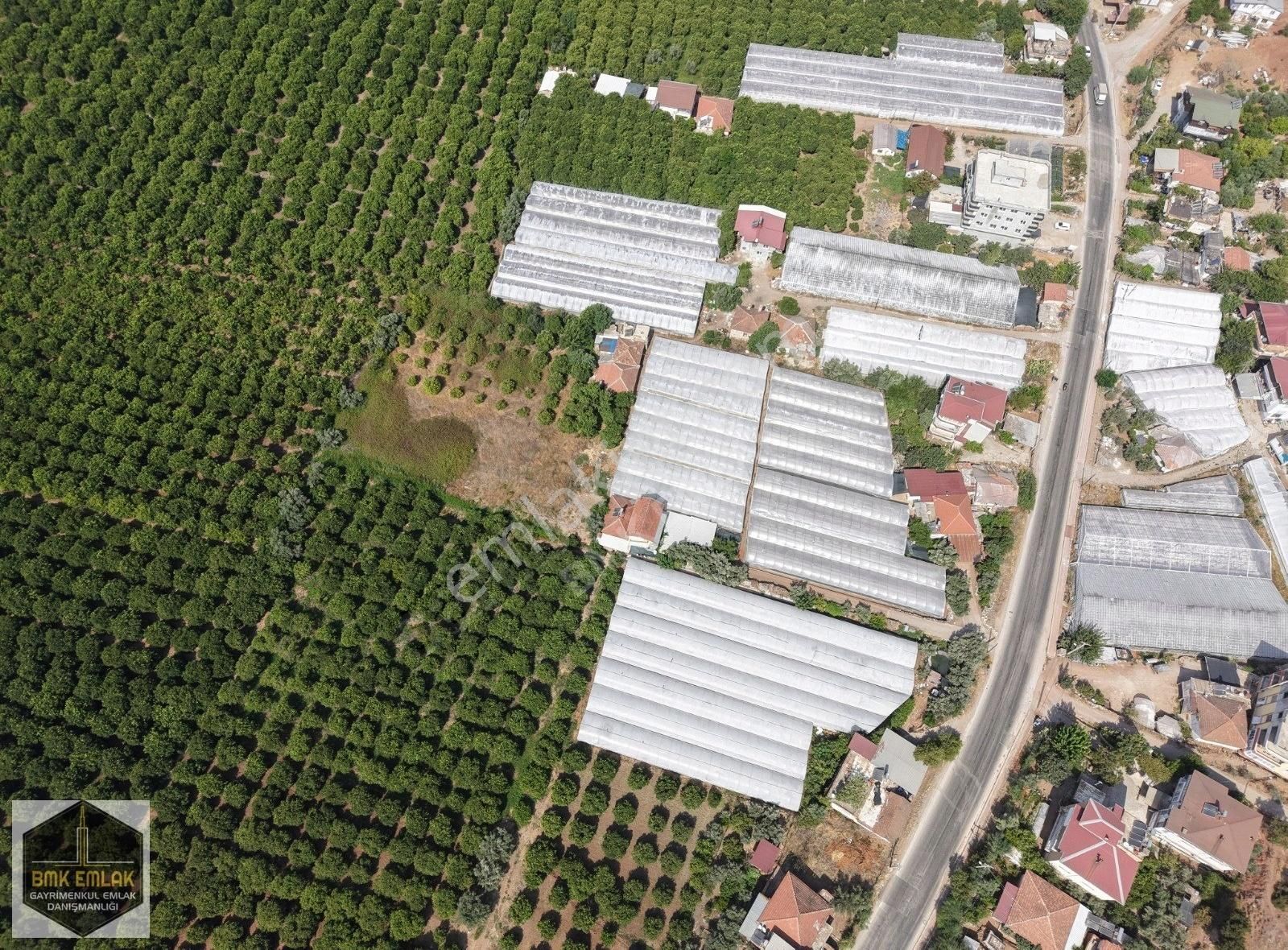 Bmk'dan Antalya Kumluca Kasapçayırında Harika Konumda Tarla - Görsel 33