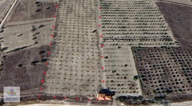 Baklan Merkezde İçinde Kargir Ev Olan 16 Dönüm Ceviz Bahçesi - Görsel 8