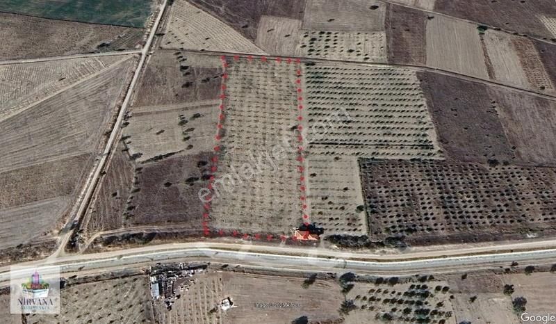 Baklan Merkezde İçinde Kargir Ev Olan 16 Dönüm Ceviz Bahçesi - Görsel 4