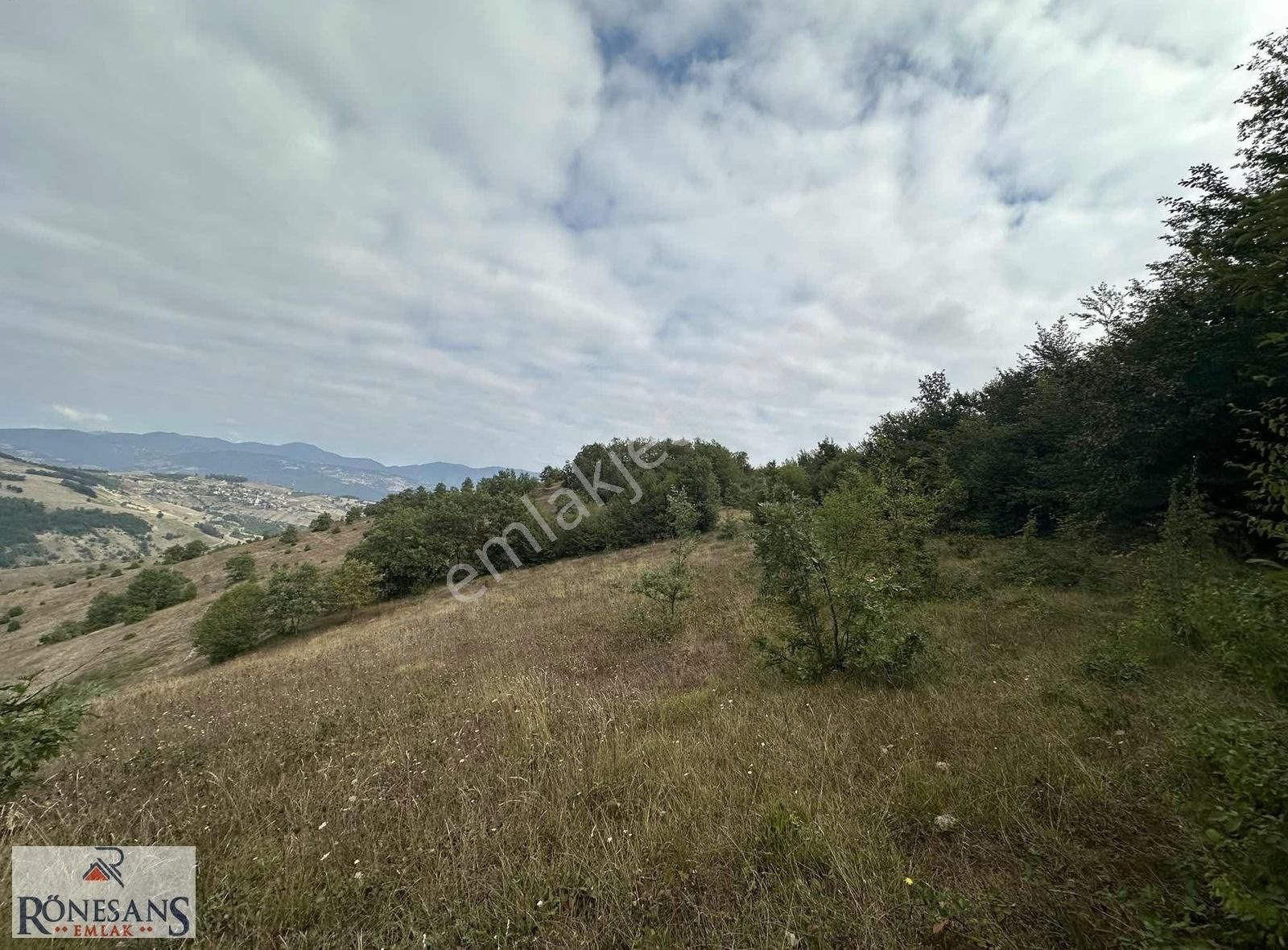 Rönesans Emlaktan - Görsel 2