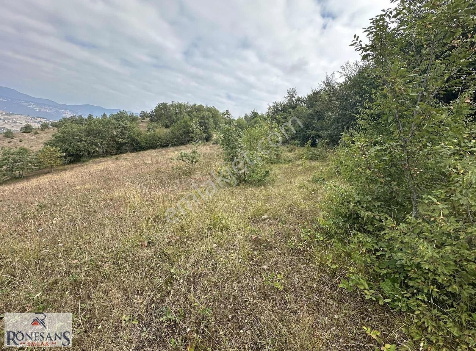 Rönesans Emlaktan - Görsel 4