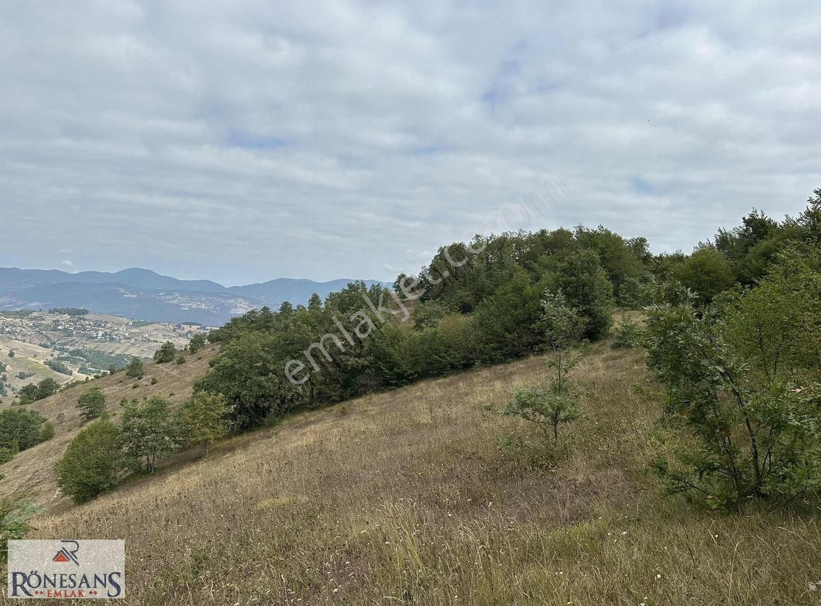 Rönesans Emlaktan - Görsel 6