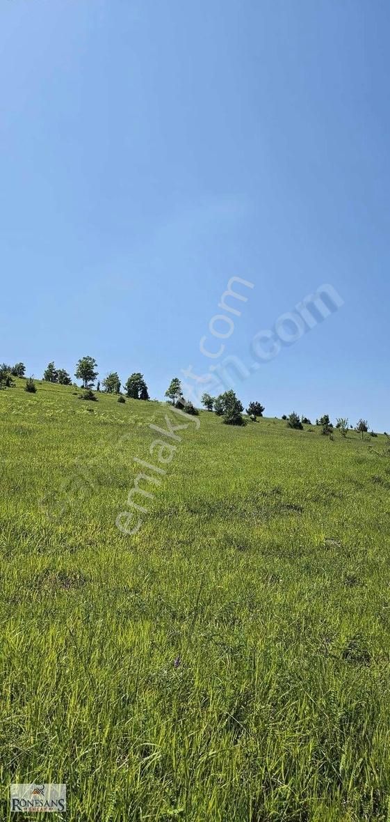 Rönesans Emlaktan - Görsel 2