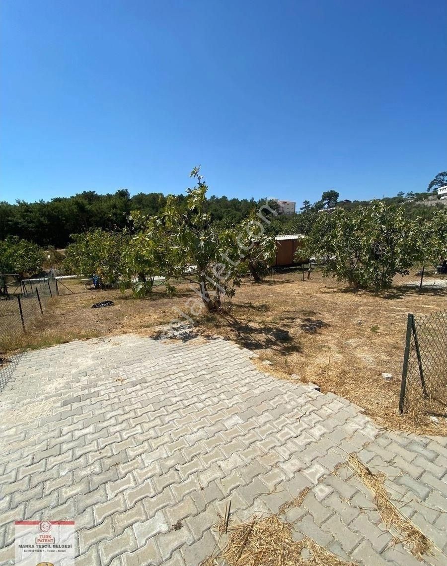 Satılık Hobi Bahcesi - Görsel 4