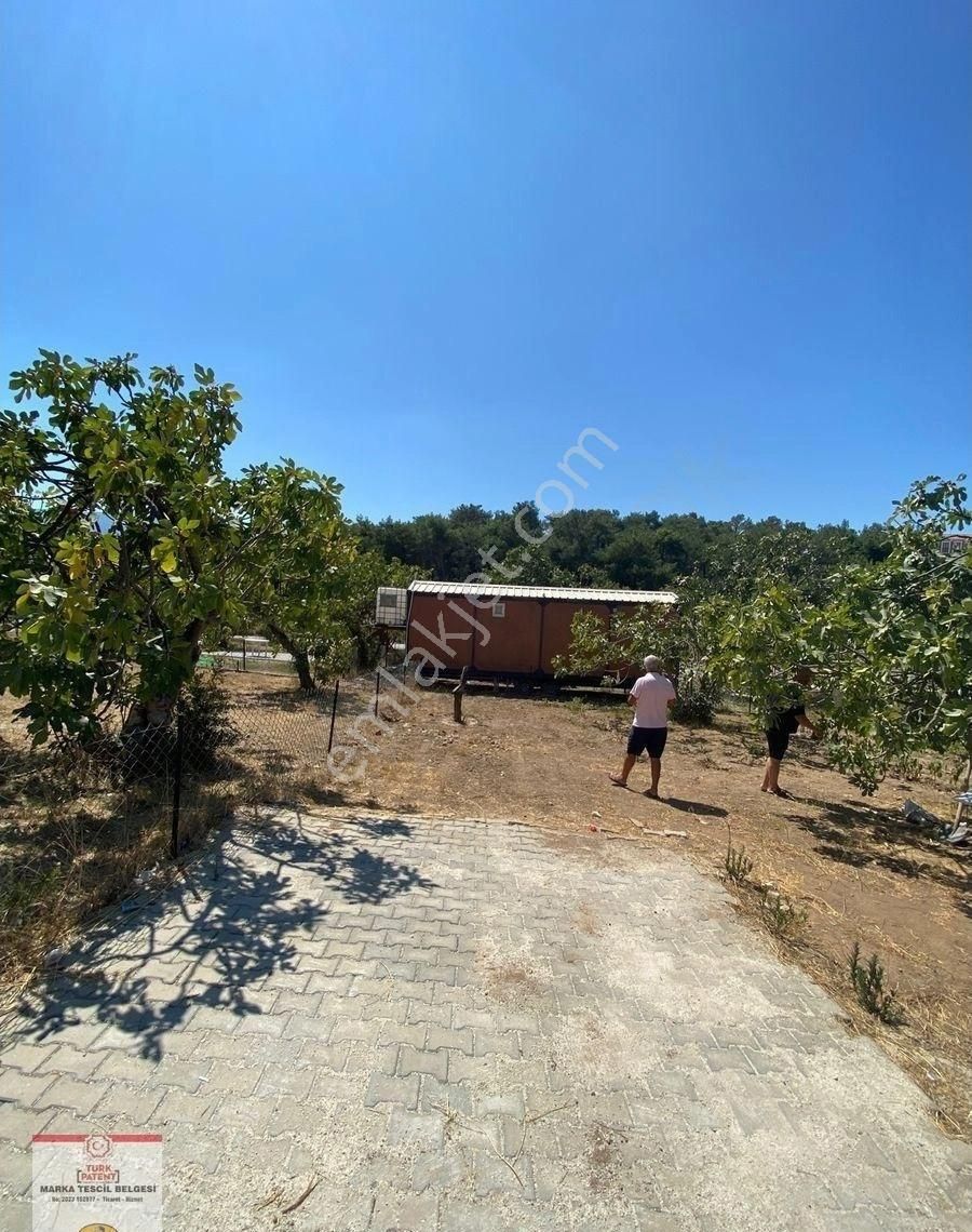 Satılık Hobi Bahcesi - Görsel 2