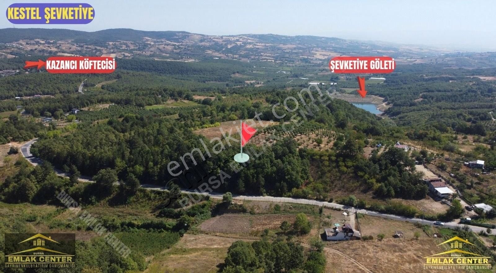 Kestel Şevketiyede Asvalt Yola Cephe 4328 M2 Tarla - Görsel 9