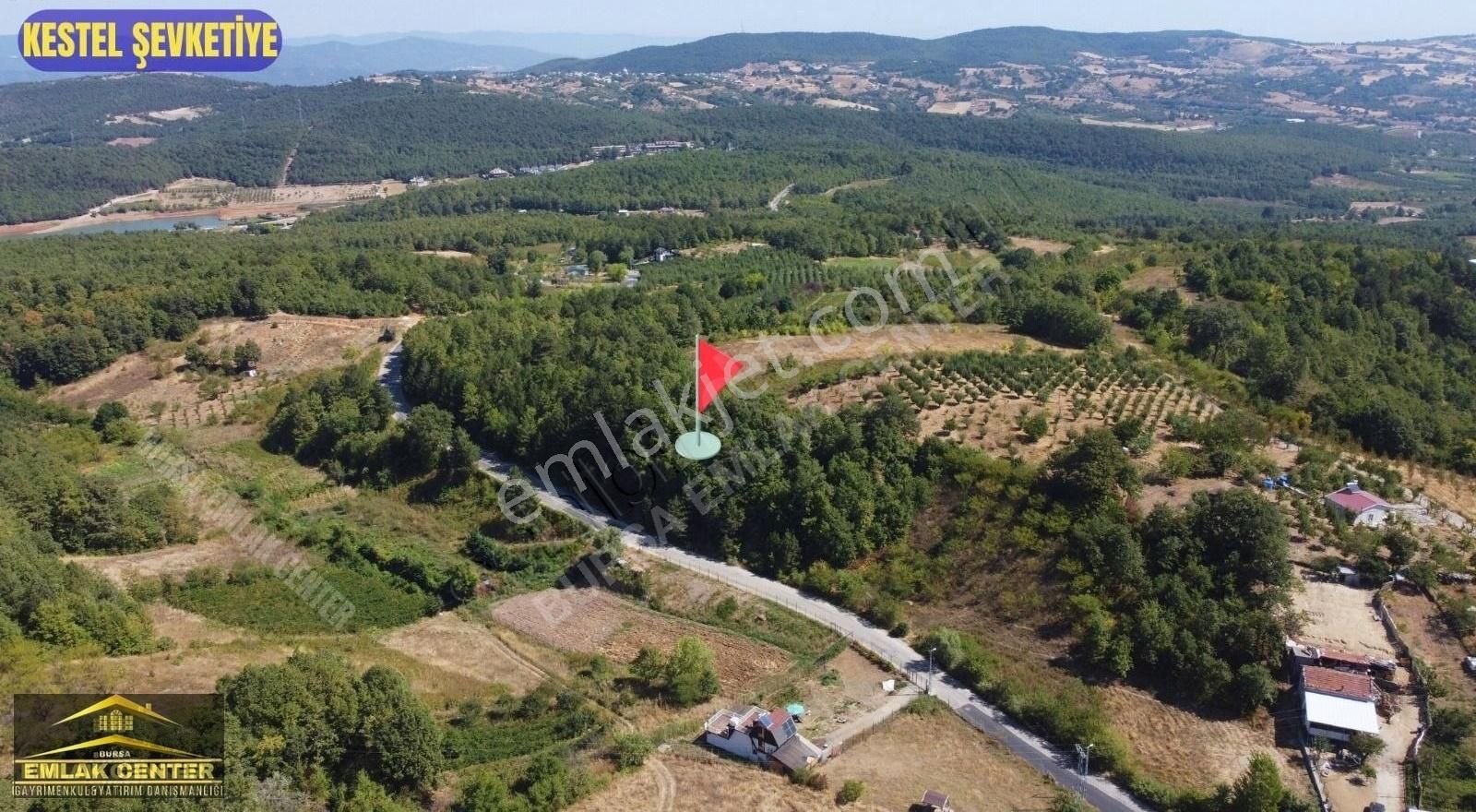 Kestel Şevketiyede Asvalt Yola Cephe 4328 M2 Tarla - Görsel 8