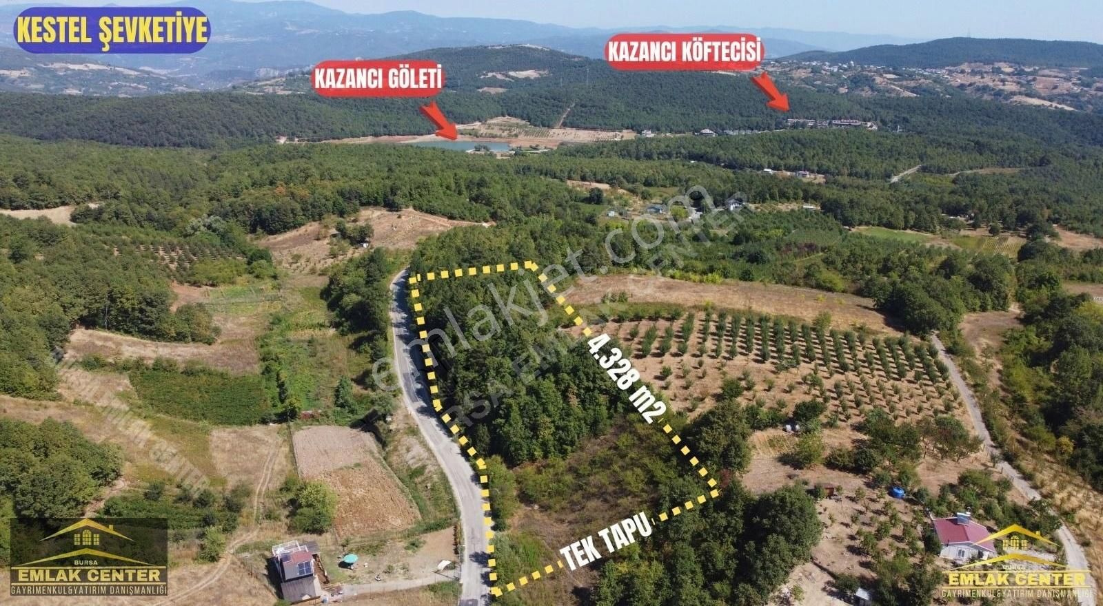 Kestel Şevketiyede Asvalt Yola Cephe 4328 M2 Tarla