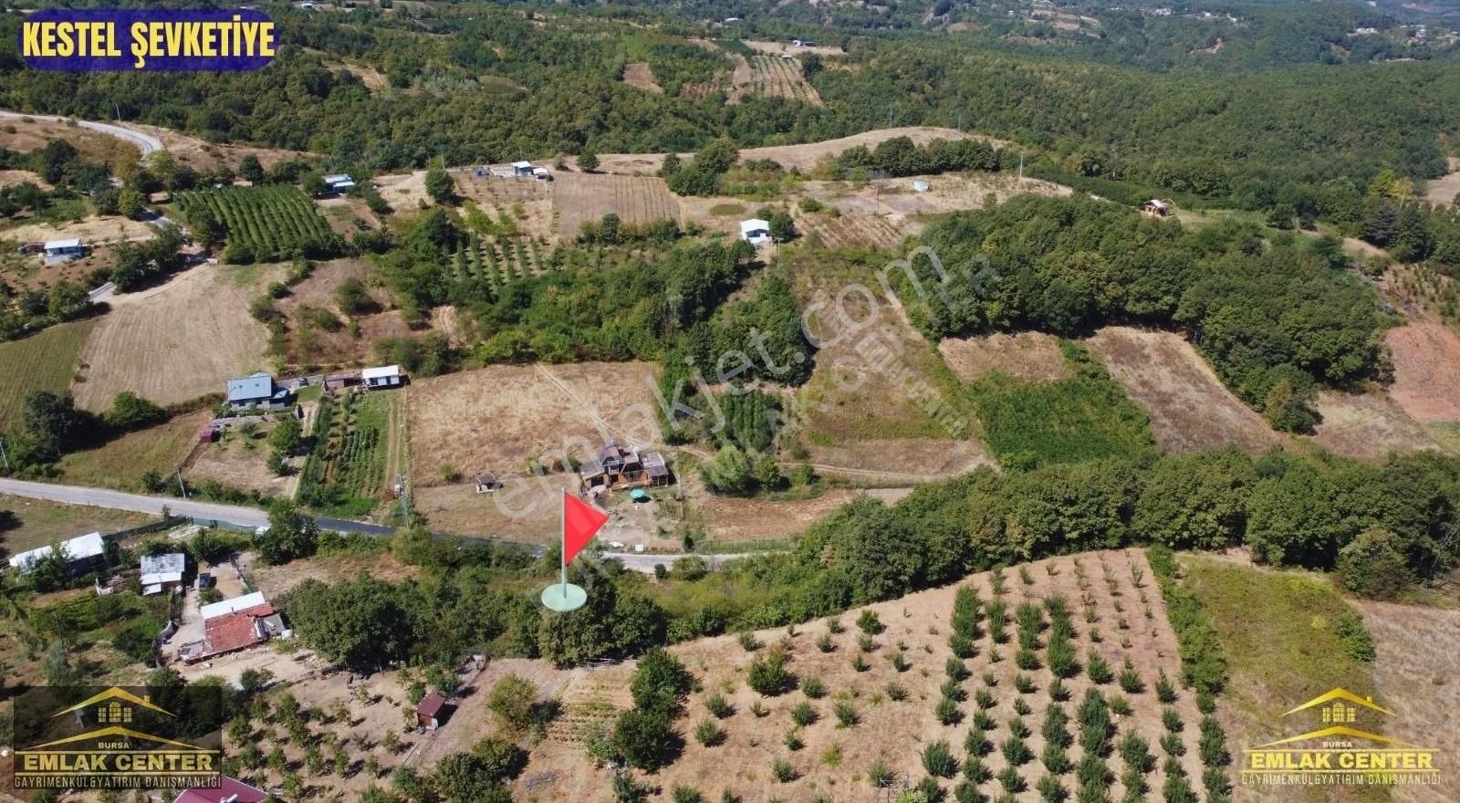 Kestel Şevketiyede Asvalt Yola Cephe 4328 M2 Tarla - Görsel 2