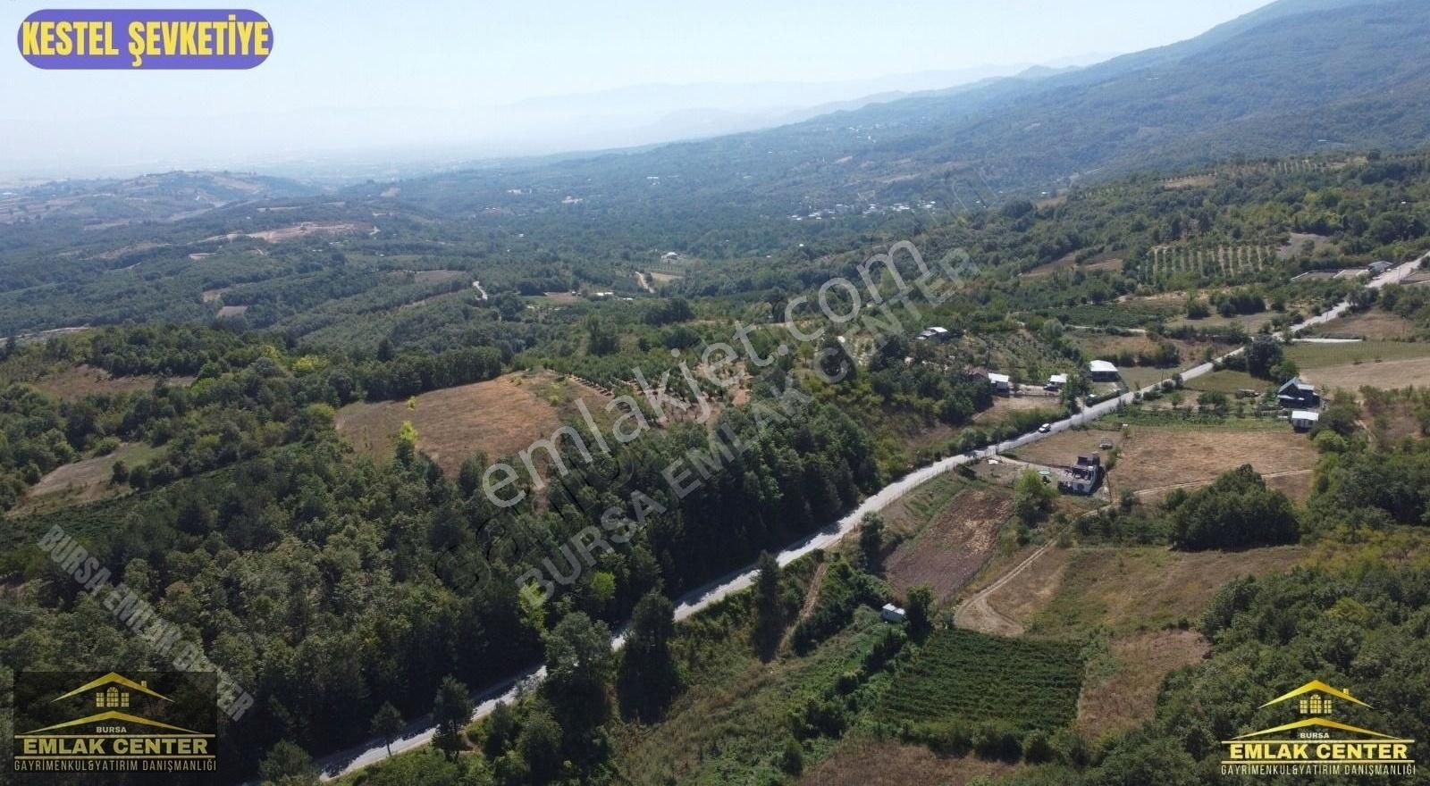 Kestel Şevketiyede Asvalt Yola Cephe 4328 M2 Tarla - Görsel 3