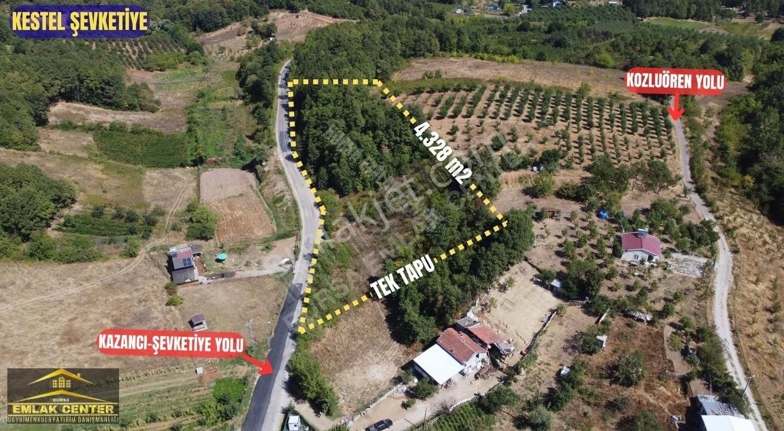 Kestel Şevketiyede Asvalt Yola Cephe 4328 M2 Tarla - Görsel 7