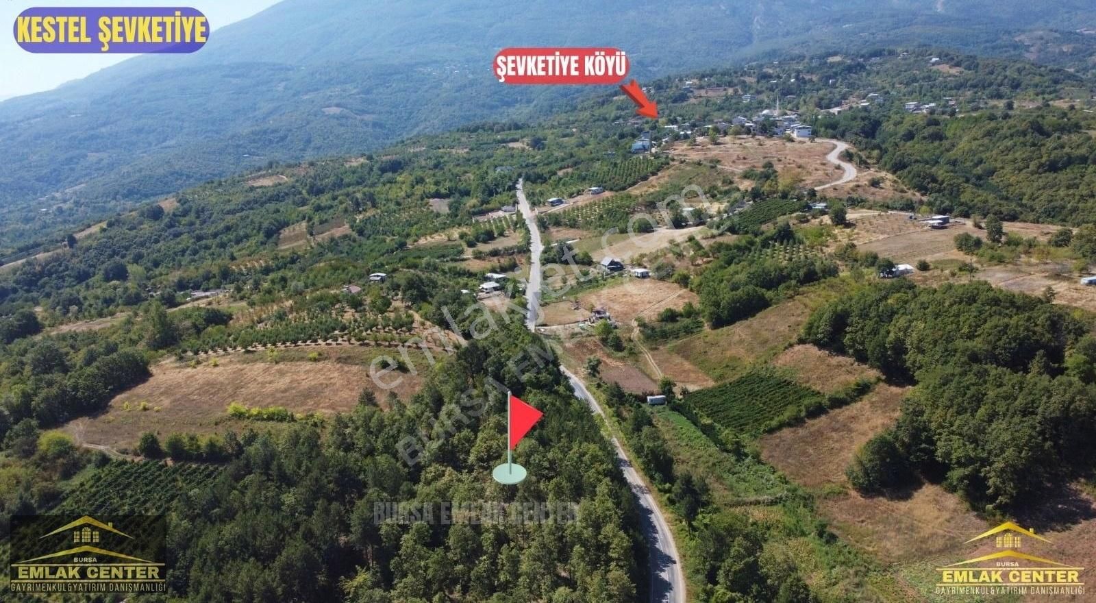 Kestel Şevketiyede Asvalt Yola Cephe 4328 M2 Tarla - Görsel 6