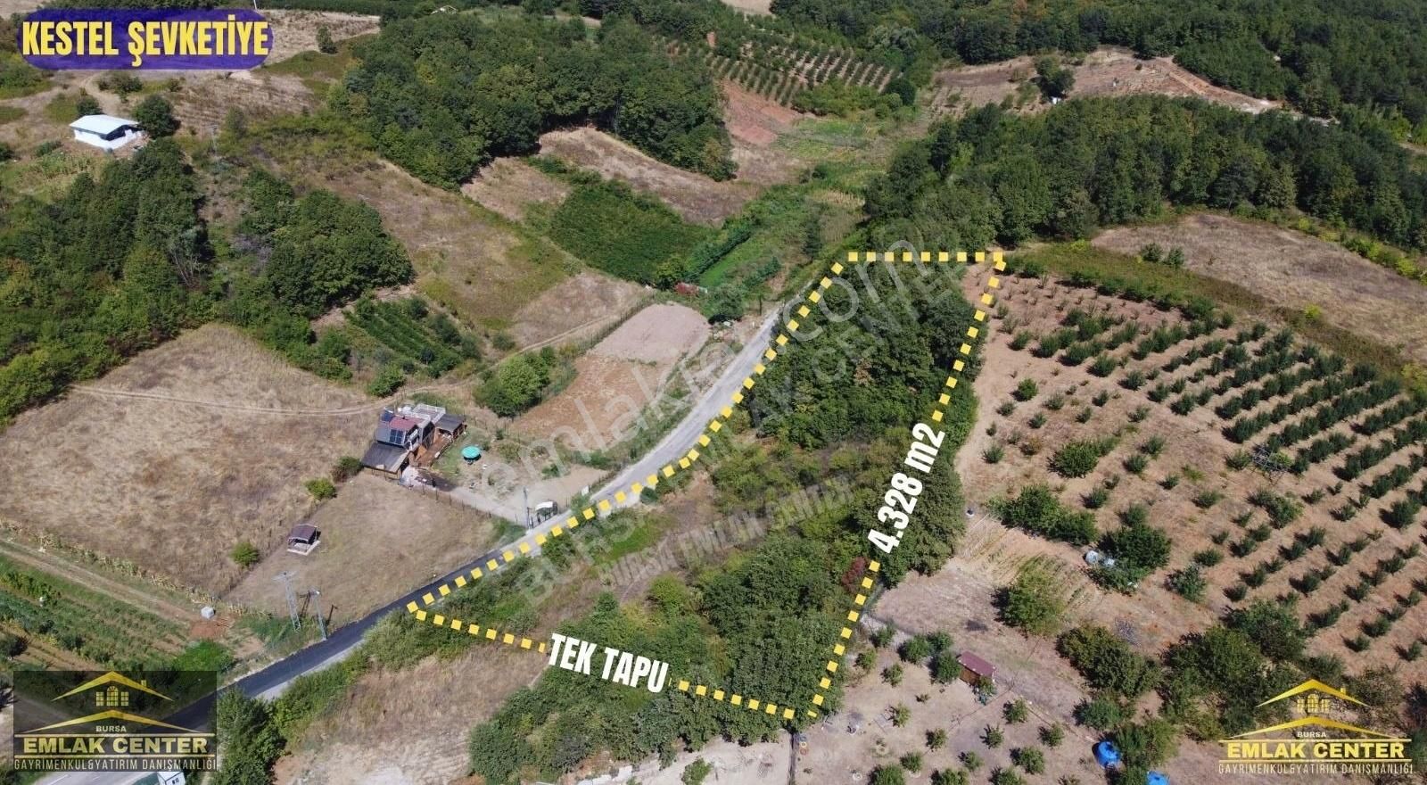 Kestel Şevketiyede Asvalt Yola Cephe 4328 M2 Tarla - Görsel 5