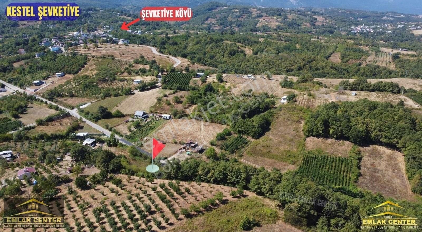 Kestel Şevketiyede Asvalt Yola Cephe 4328 M2 Tarla - Görsel 4