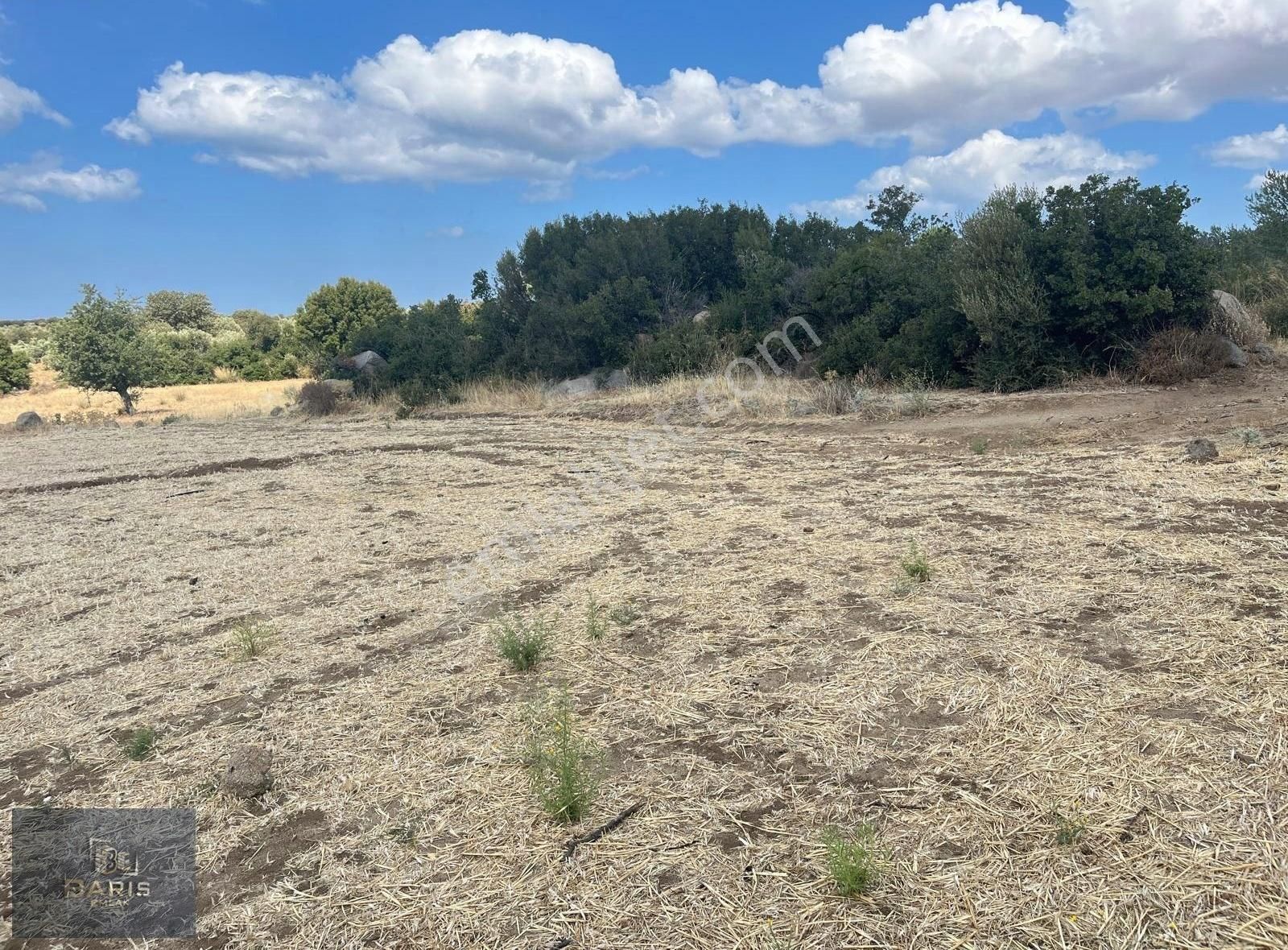 Çanakkale Ezine Alemşah Köyünde Satılık Hobi Bahçesi - Görsel 20