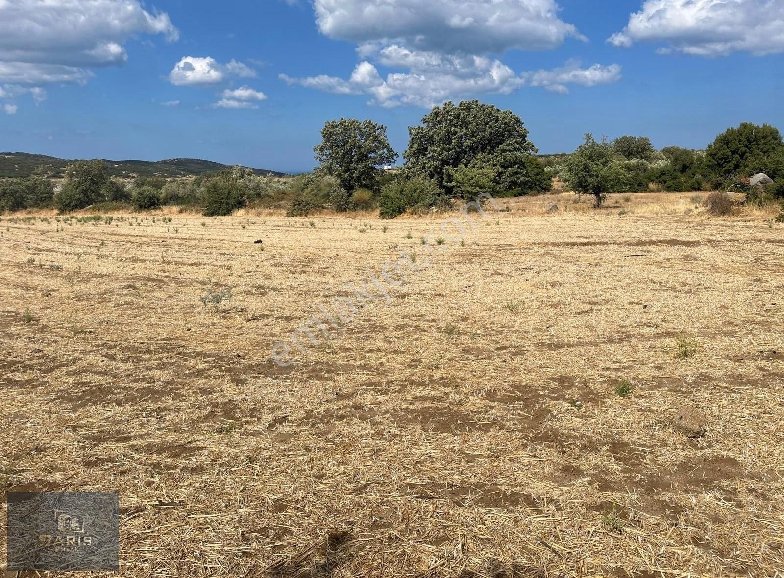 Çanakkale Ezine Alemşah Köyünde Satılık Hobi Bahçesi - Görsel 8
