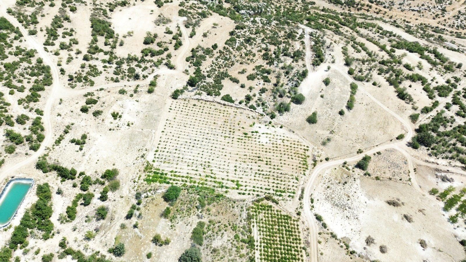 Mut Çömelek Köyü Üzüm Bağı Ve Tarla - Görsel 7