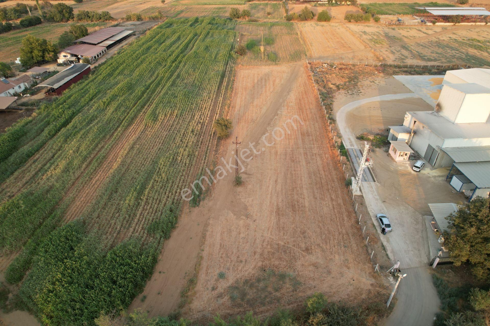 İzmir Tire Sb Emlak Ofisinden Boynuyoğun Mahallesinde Yatırımlık Tarla - Görsel 4