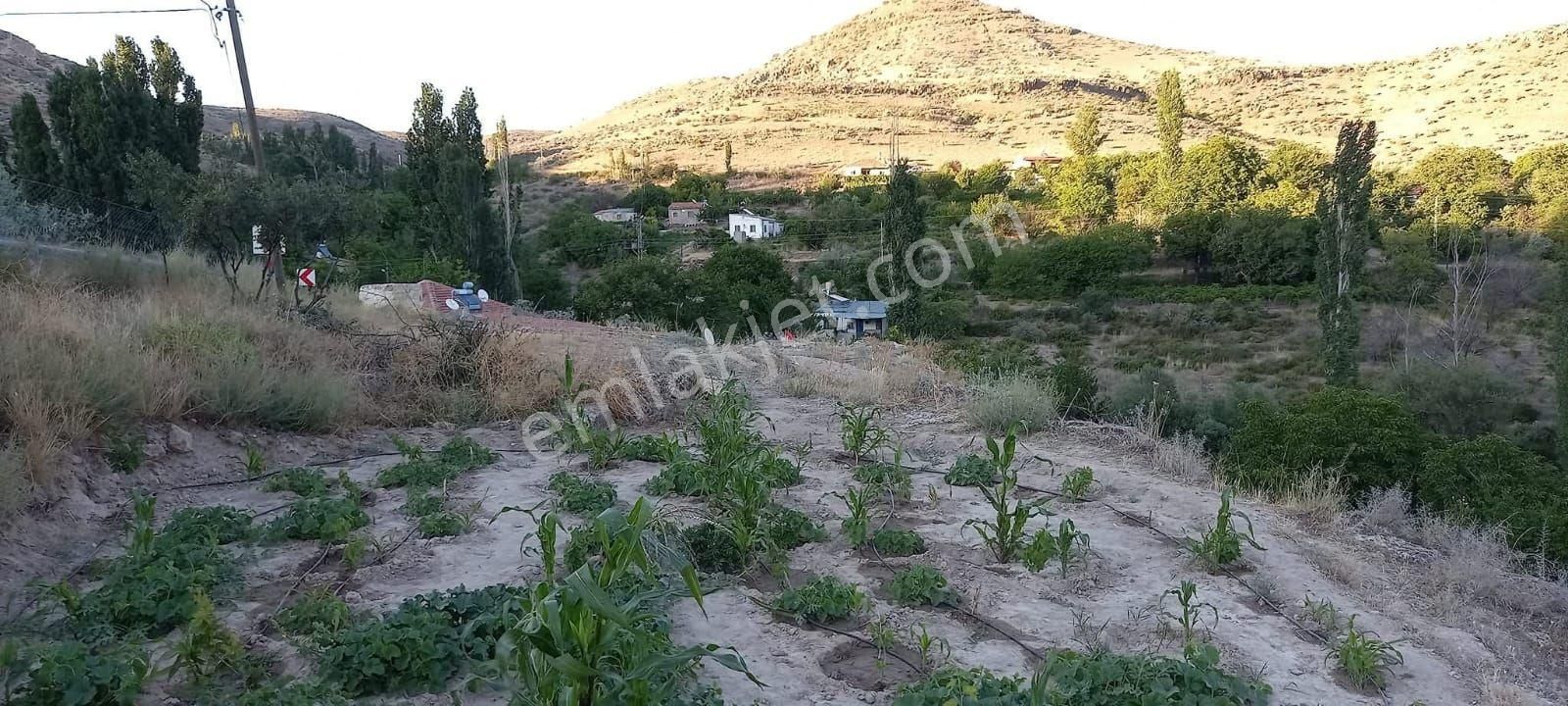 Kayseri Yuvalı Kadı Bağları’mda Satılık Doğa İçinde Bağ Evi