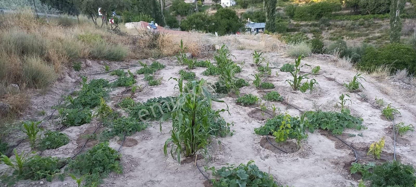 Kayseri Yuvalı Kadı Bağları’mda Satılık Doğa İçinde Bağ Evi - Görsel 4