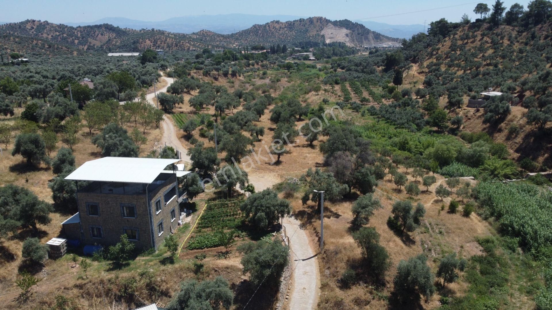 ✅✅ Aydın Köşkte 26.330 M2 Satılık Zeytinlik ✅✅ - Görsel 13