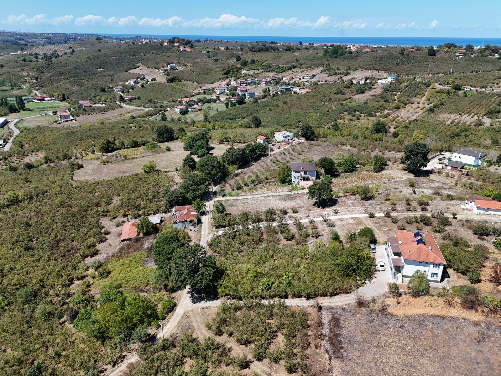 Re/max Maviden 2650 M2 Arsa Üzerinde 2 Adet Yeni 4+1 Müstakil Ev - Görsel 30