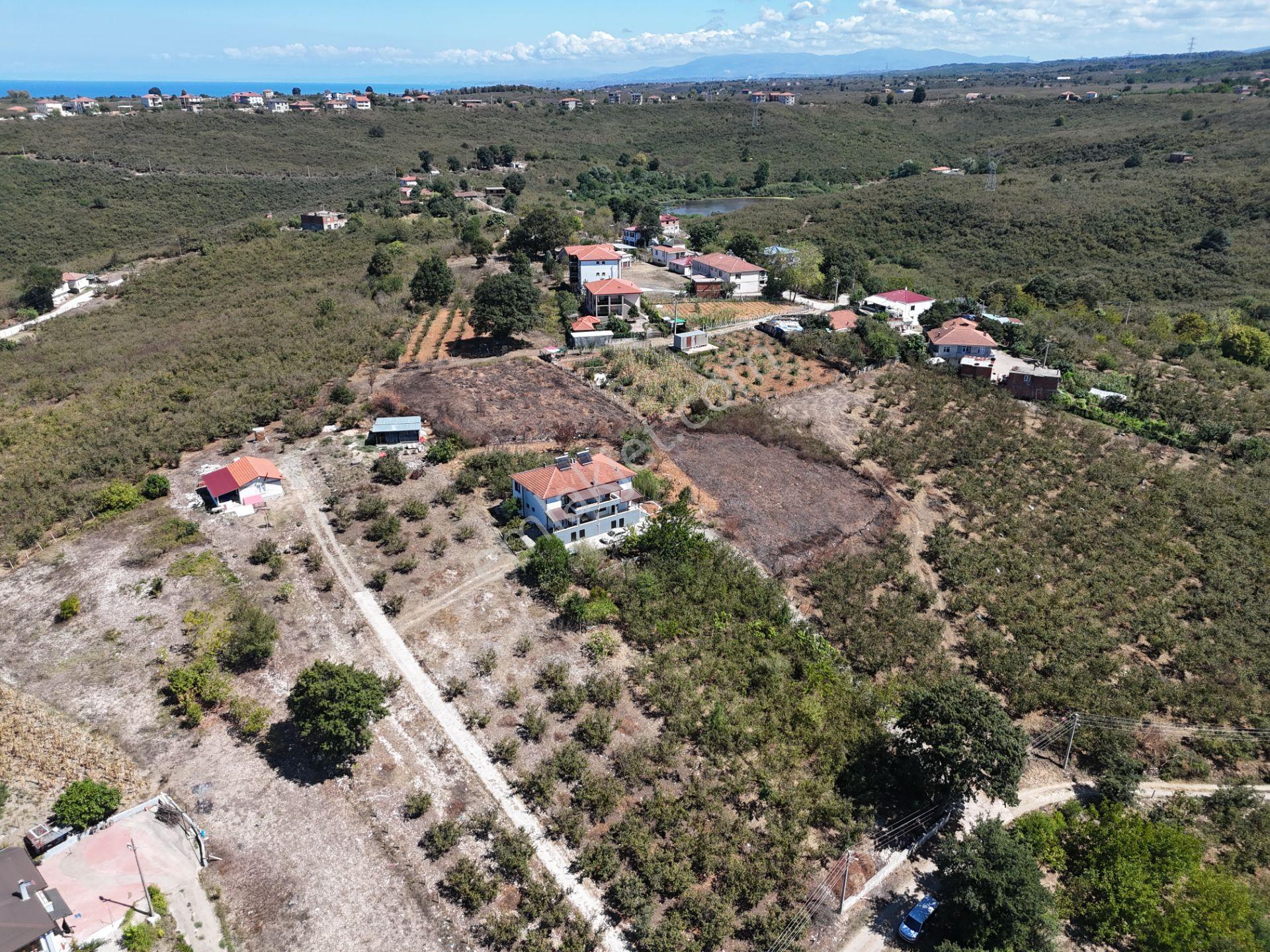 Re/max Maviden 2650 M2 Arsa Üzerinde 2 Adet Yeni 4+1 Müstakil Ev - Görsel 24