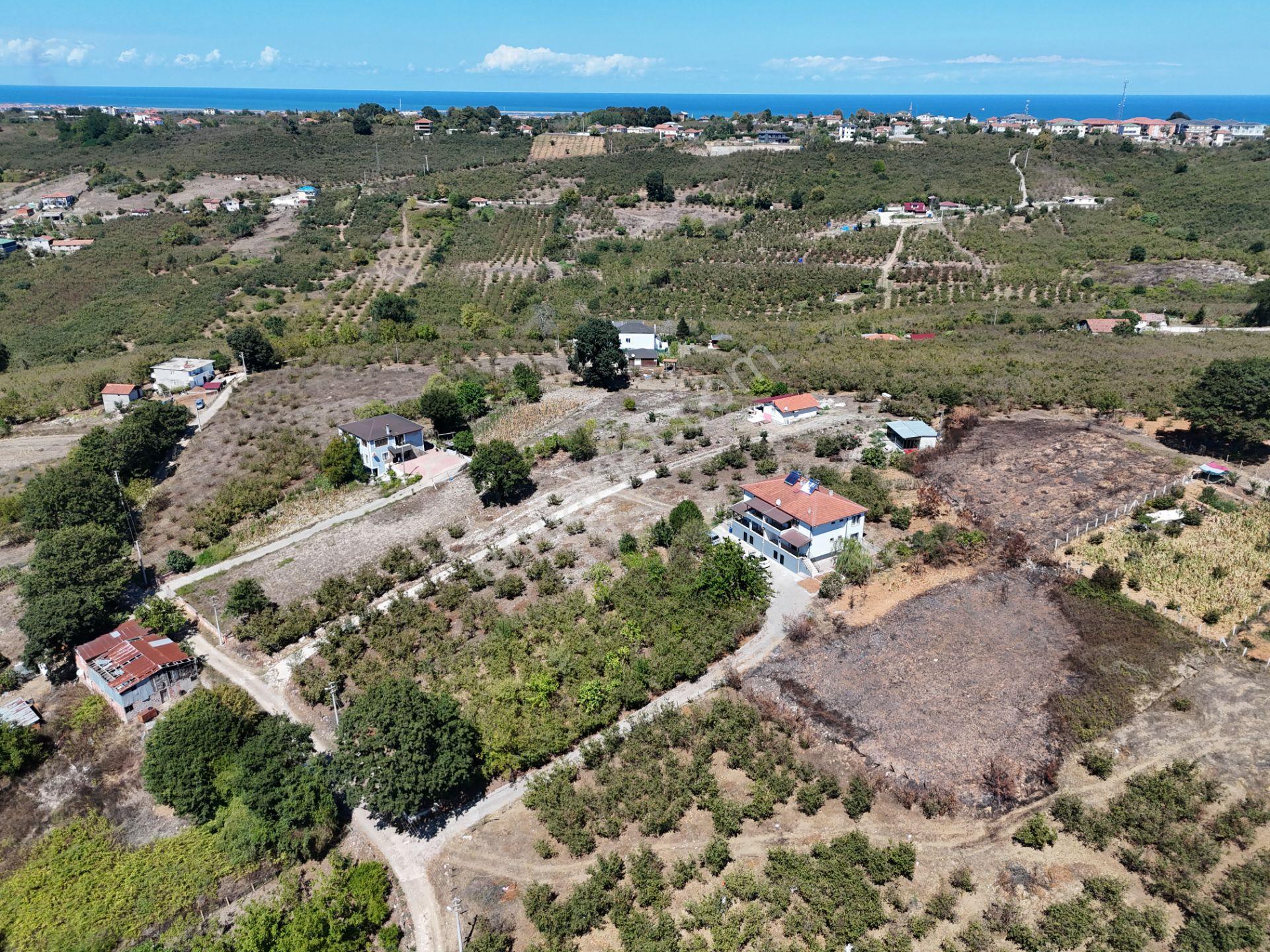 Re/max Maviden 2650 M2 Arsa Üzerinde 2 Adet Yeni 4+1 Müstakil Ev - Görsel 29