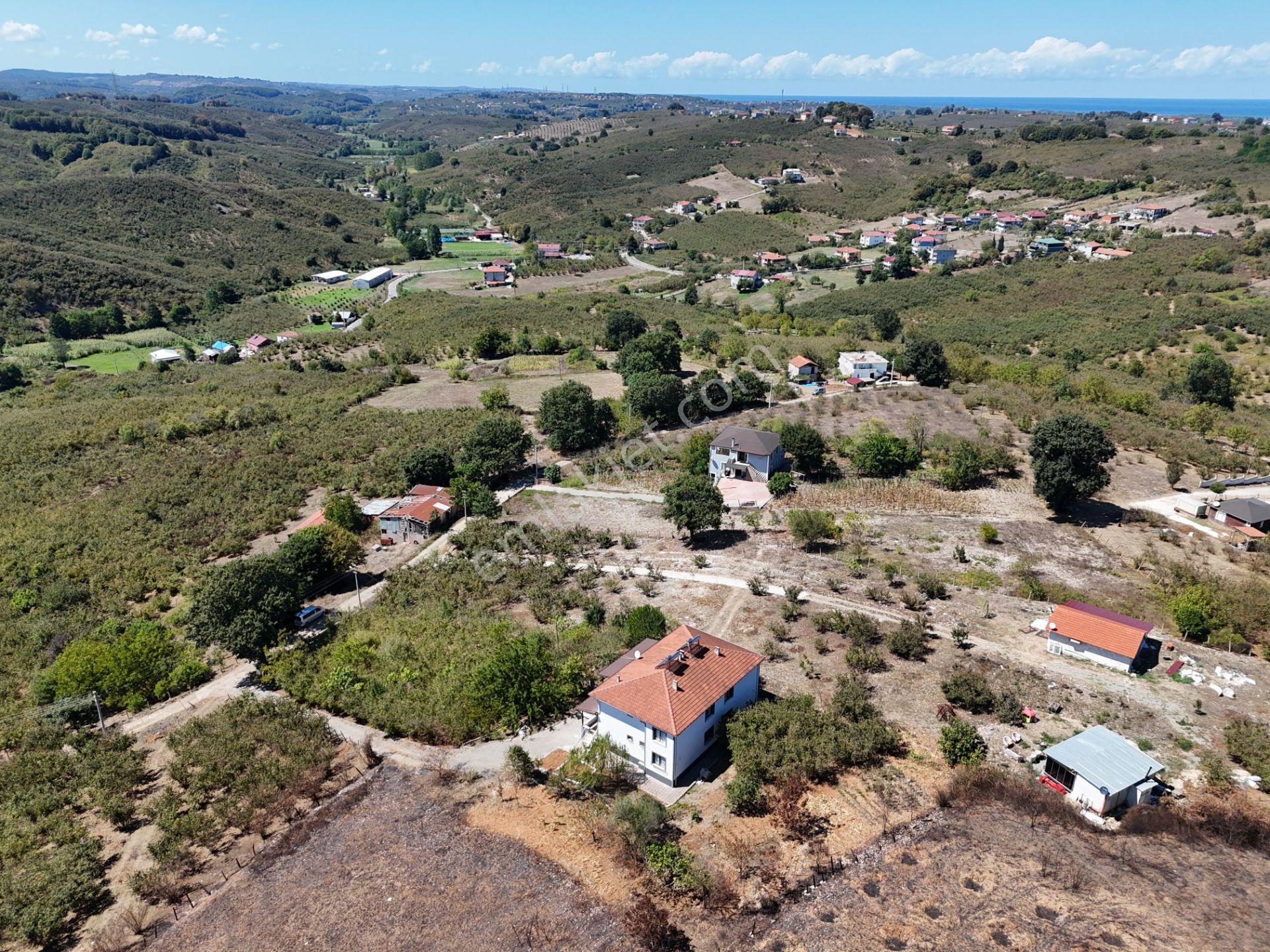 Re/max Maviden 2650 M2 Arsa Üzerinde 2 Adet Yeni 4+1 Müstakil Ev - Görsel 32