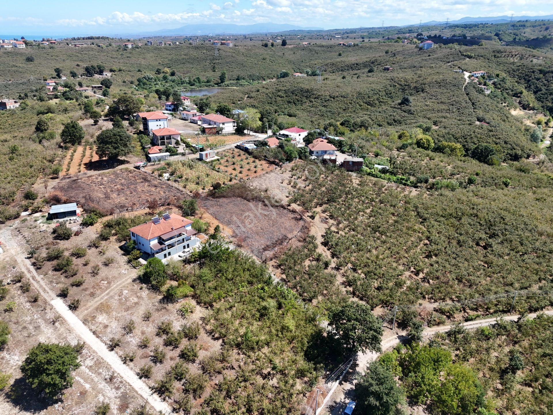 Re/max Maviden 2650 M2 Arsa Üzerinde 2 Adet Yeni 4+1 Müstakil Ev - Görsel 23