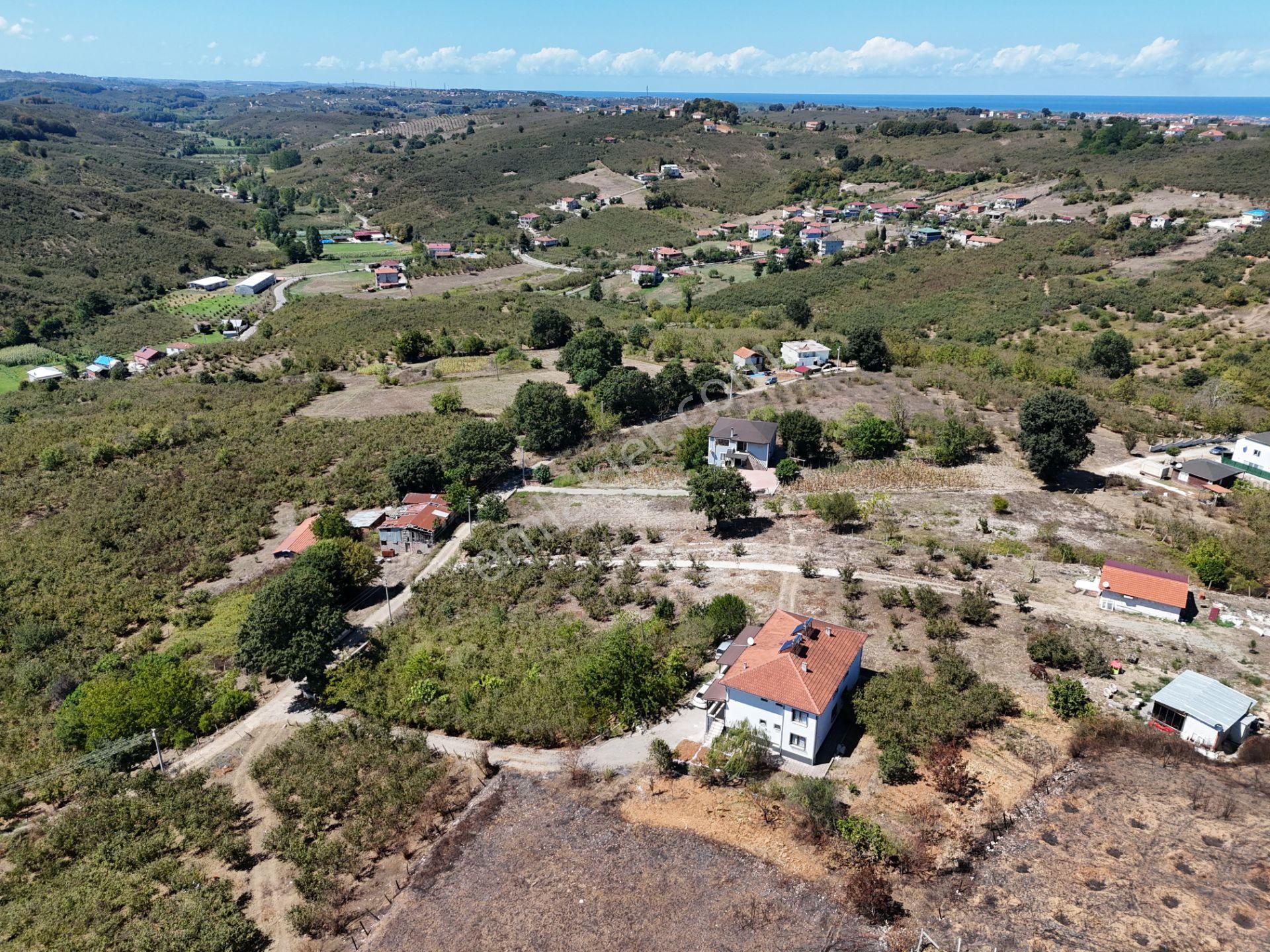 Re/max Maviden 2650 M2 Arsa Üzerinde 2 Adet Yeni 4+1 Müstakil Ev - Görsel 31