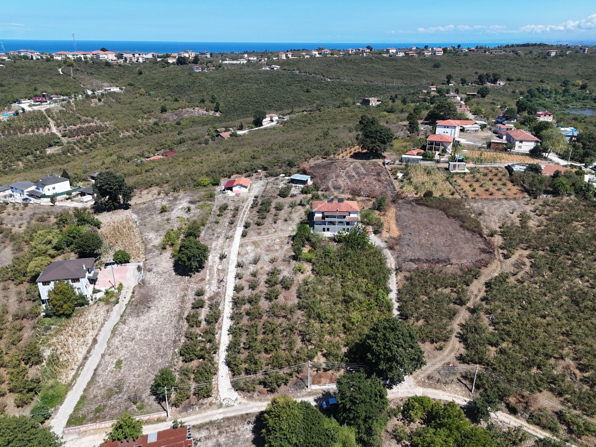 Re/max Maviden 2650 M2 Arsa Üzerinde 2 Adet Yeni 4+1 Müstakil Ev - Görsel 27