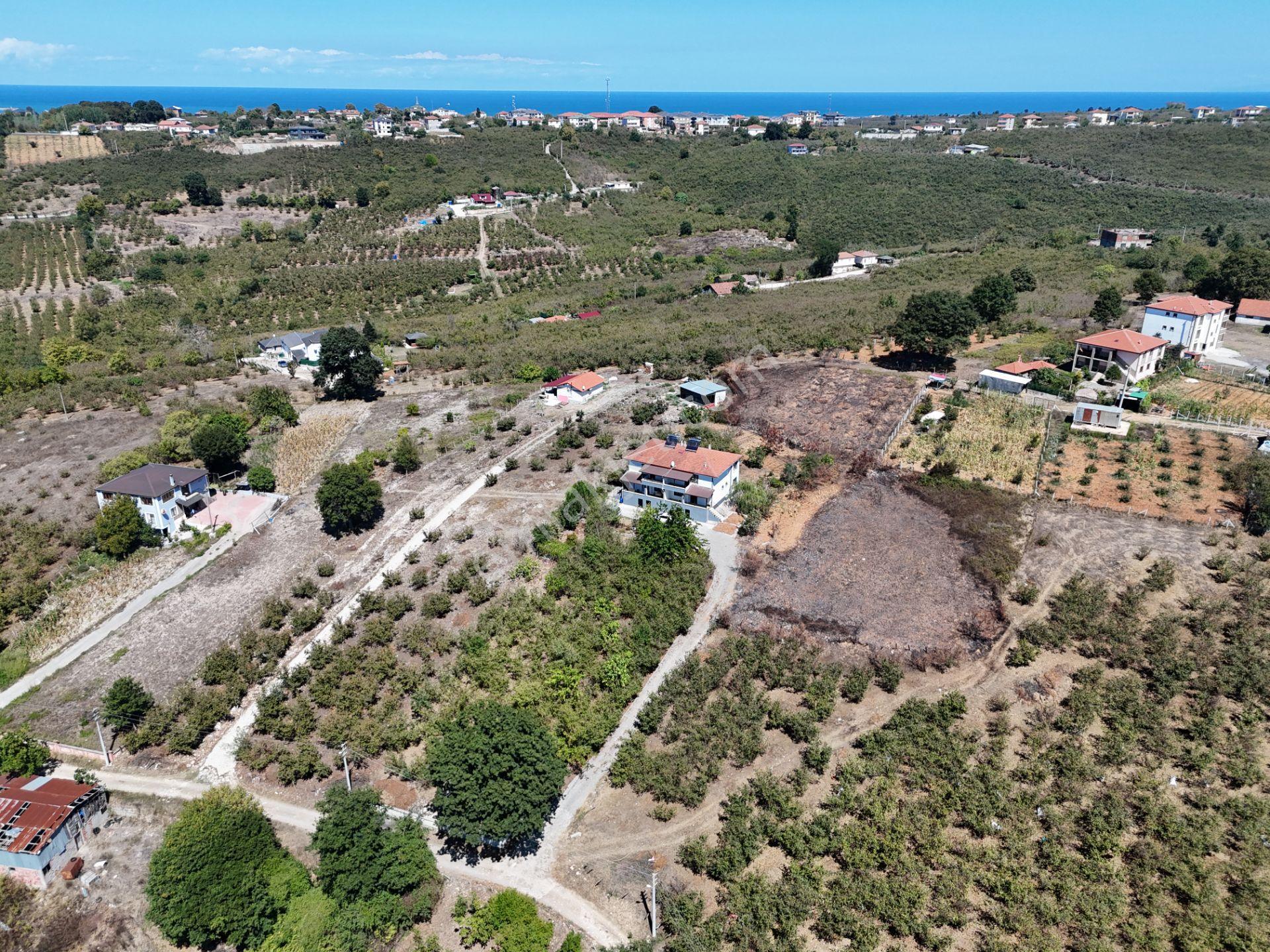 Re/max Maviden 2650 M2 Arsa Üzerinde 2 Adet Yeni 4+1 Müstakil Ev - Görsel 28