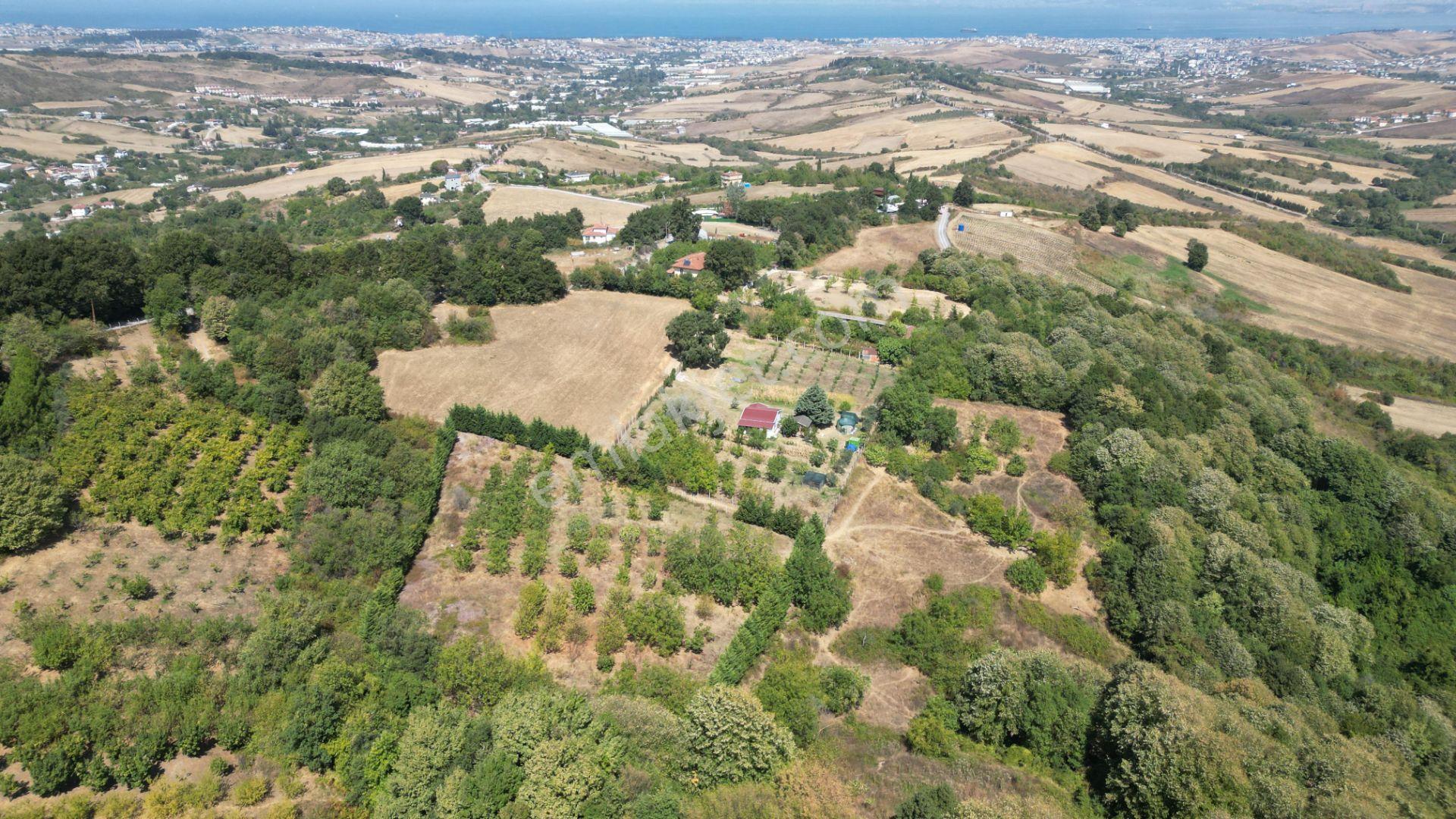 Yalova Çiftlikköy Gacık 5340 M² Merkeze Yakın Satılık Tarla - Görsel 8