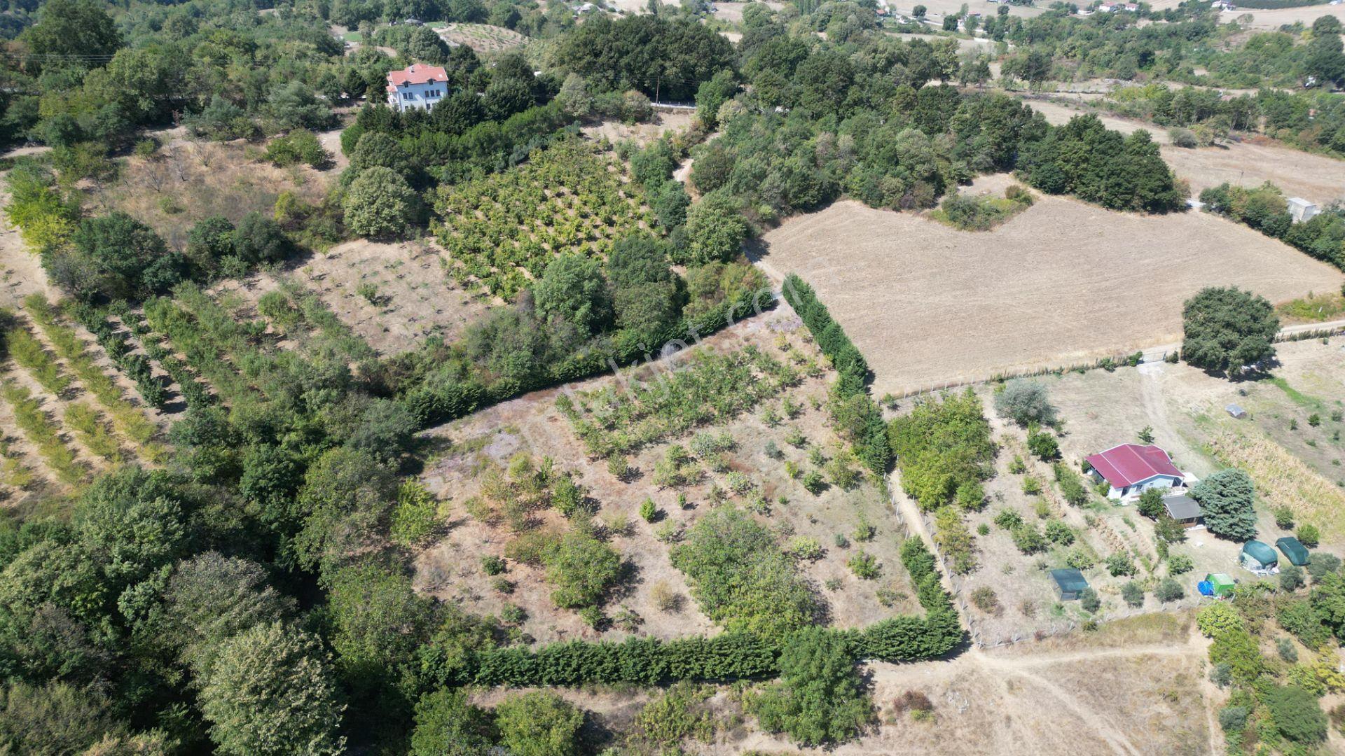 Yalova Çiftlikköy Gacık 5340 M² Merkeze Yakın Satılık Tarla - Görsel 7